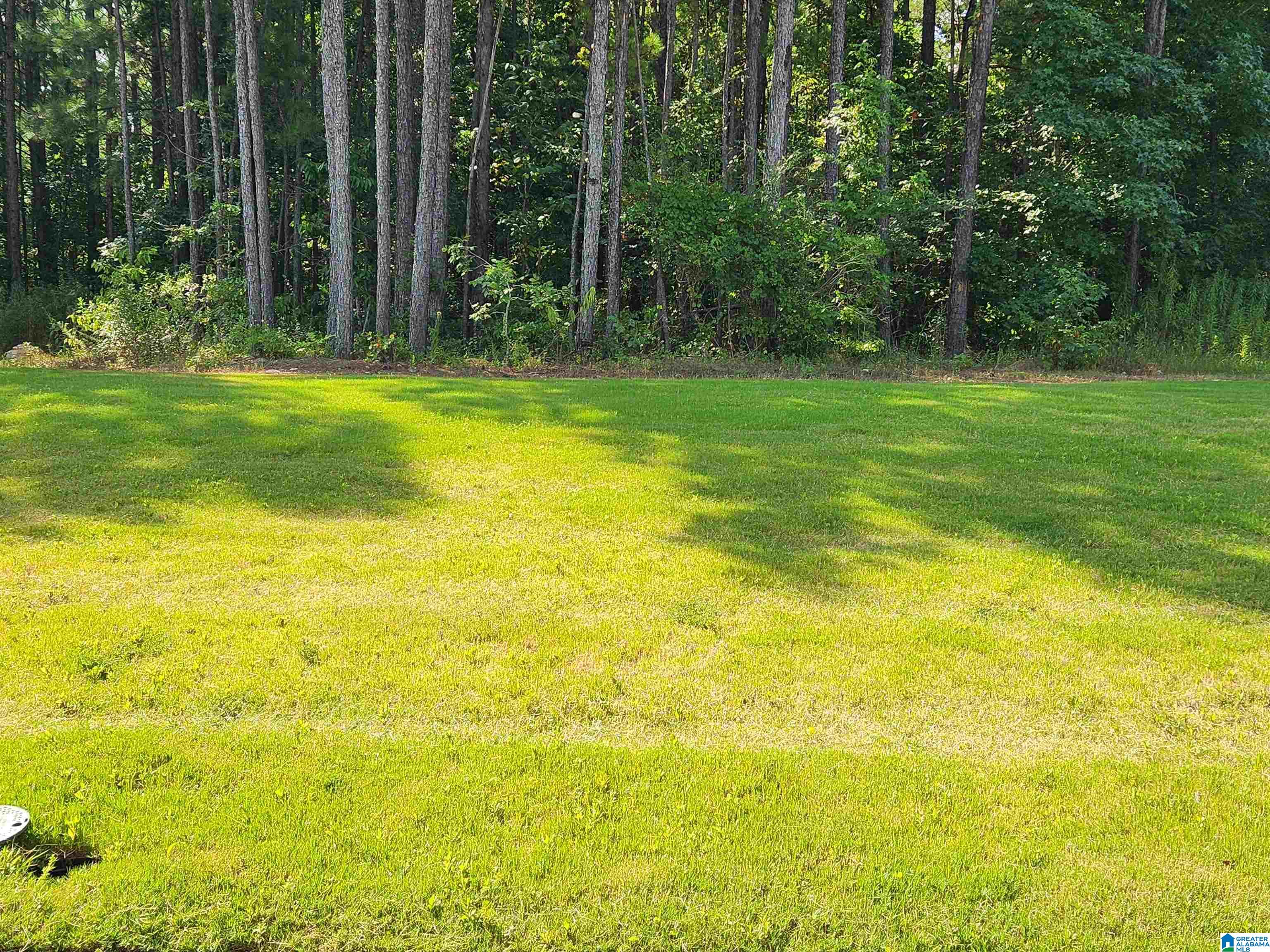 Homes for sale in Alabaster, AL | 3000 Drake Mallard Dr East, Alabaster, AL 35007 | MLS# 21425988