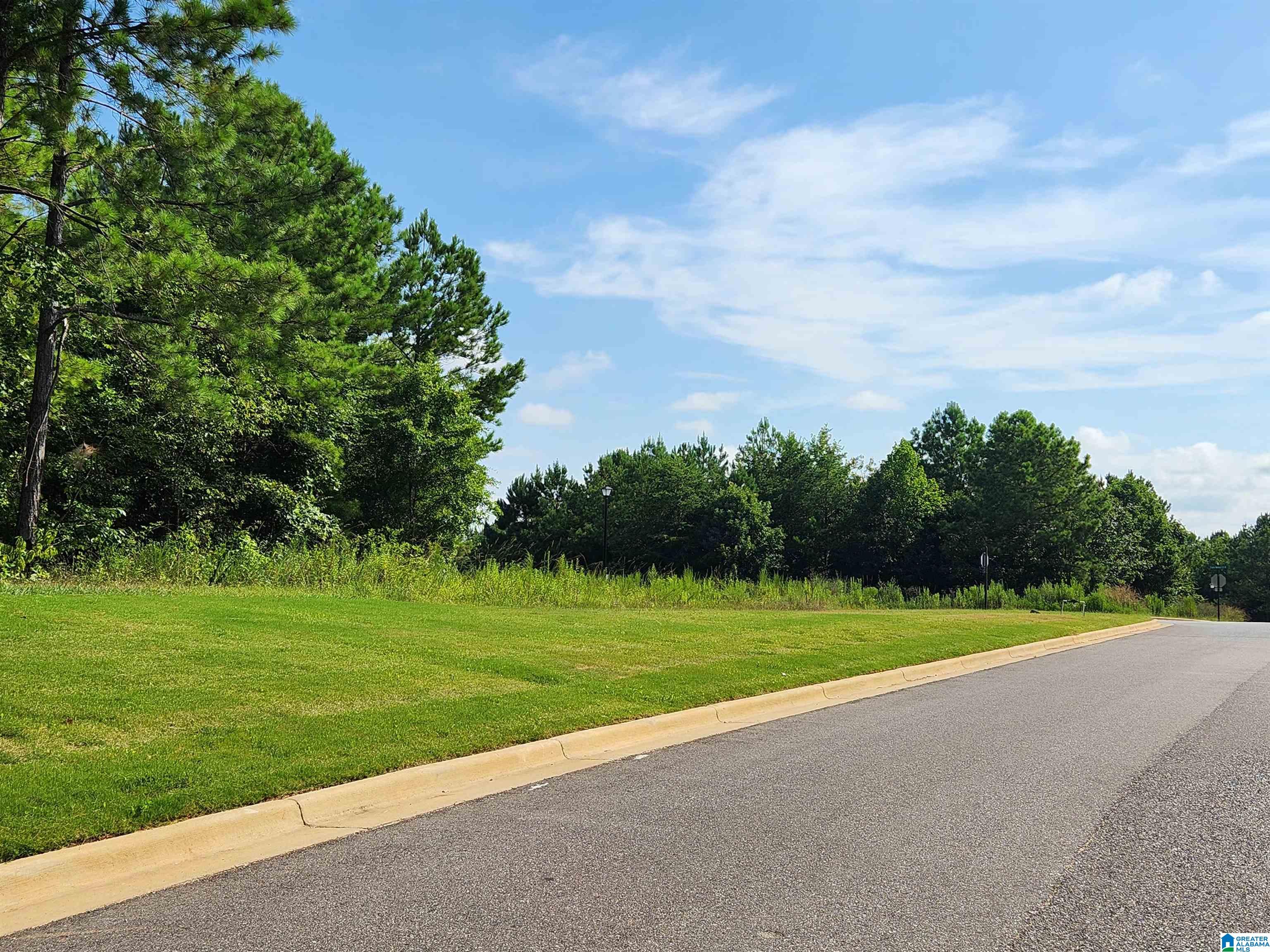 Homes for sale in Alabaster, AL | 3000 Drake Mallard Dr East, Alabaster, AL 35007 | MLS# 21425988