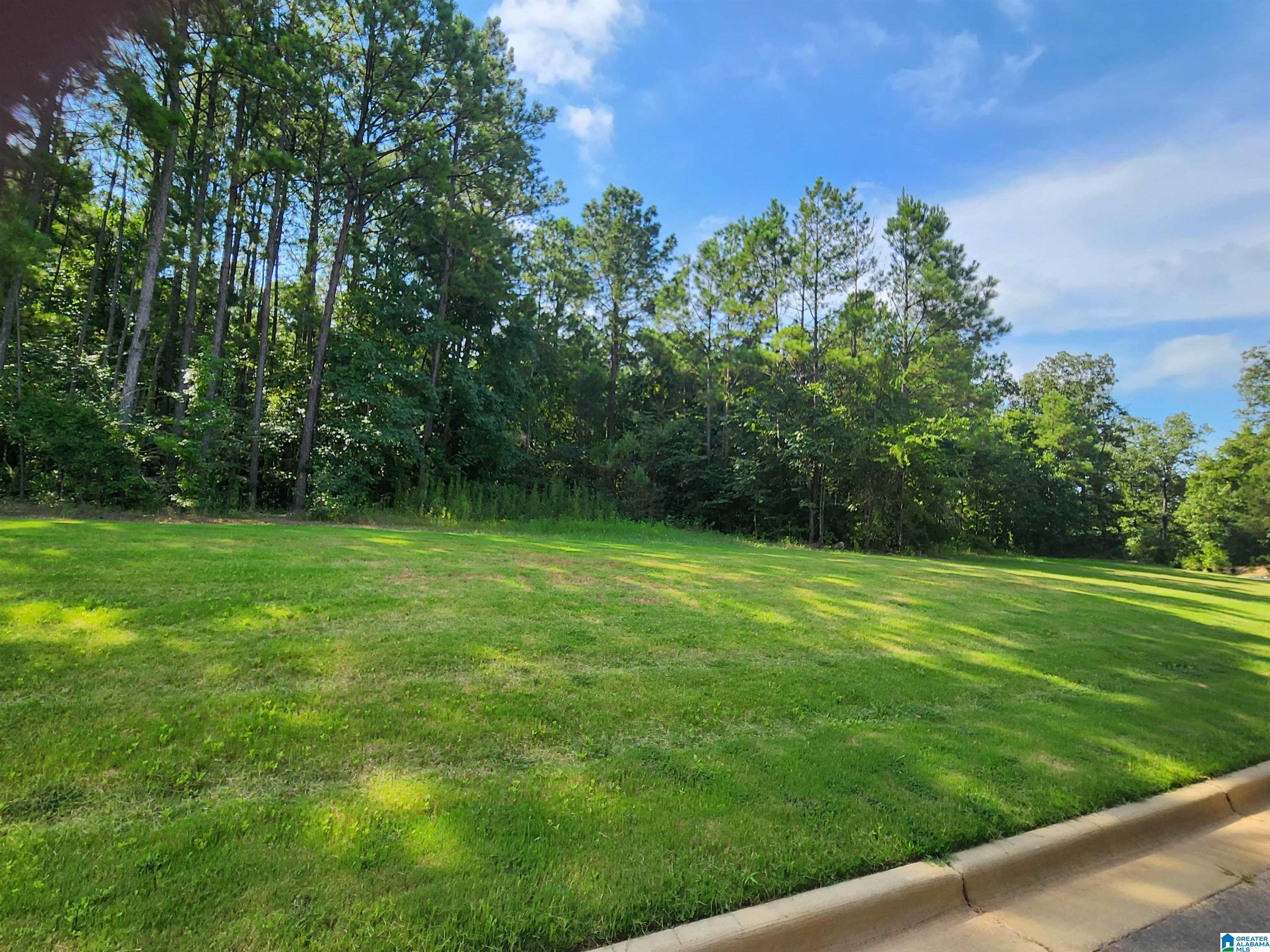 Homes for sale in Alabaster, AL | 3000 Drake Mallard Dr East, Alabaster, AL 35007 | MLS# 21425988