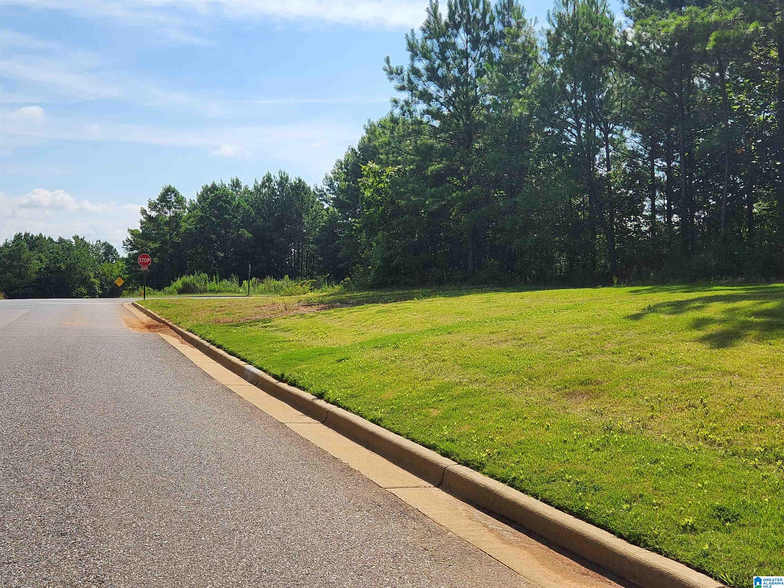 Homes for sale in Alabaster, AL | 3004 Drake Mallard Dr East, Alabaster, AL 35007 | MLS# 21425991