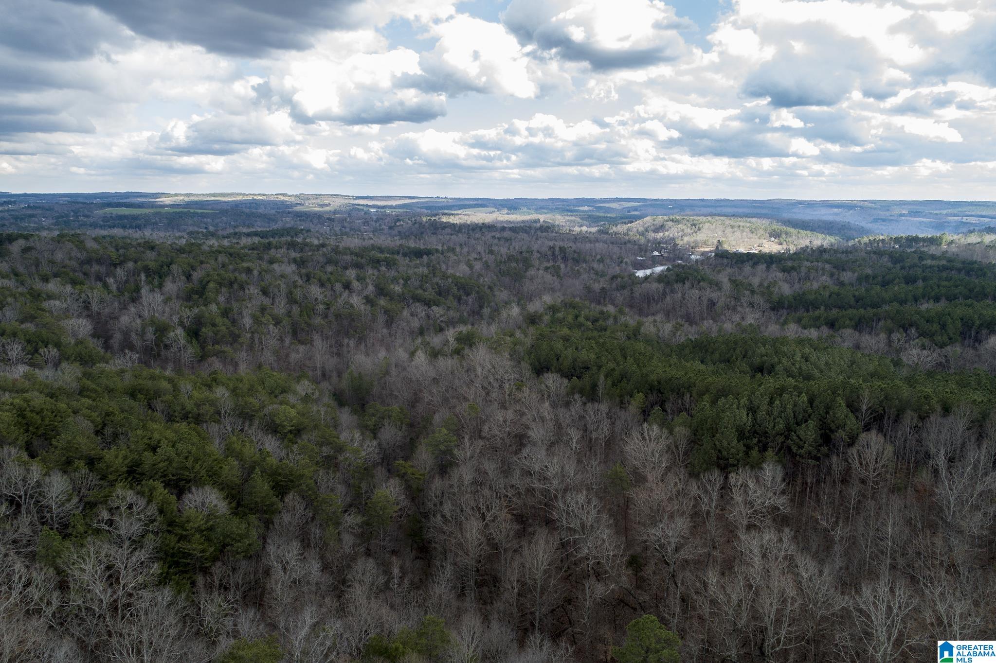 Homes for sale in Calera, AL | 00 Hwy 42, Calera, AL 35040 | MLS# 21426031