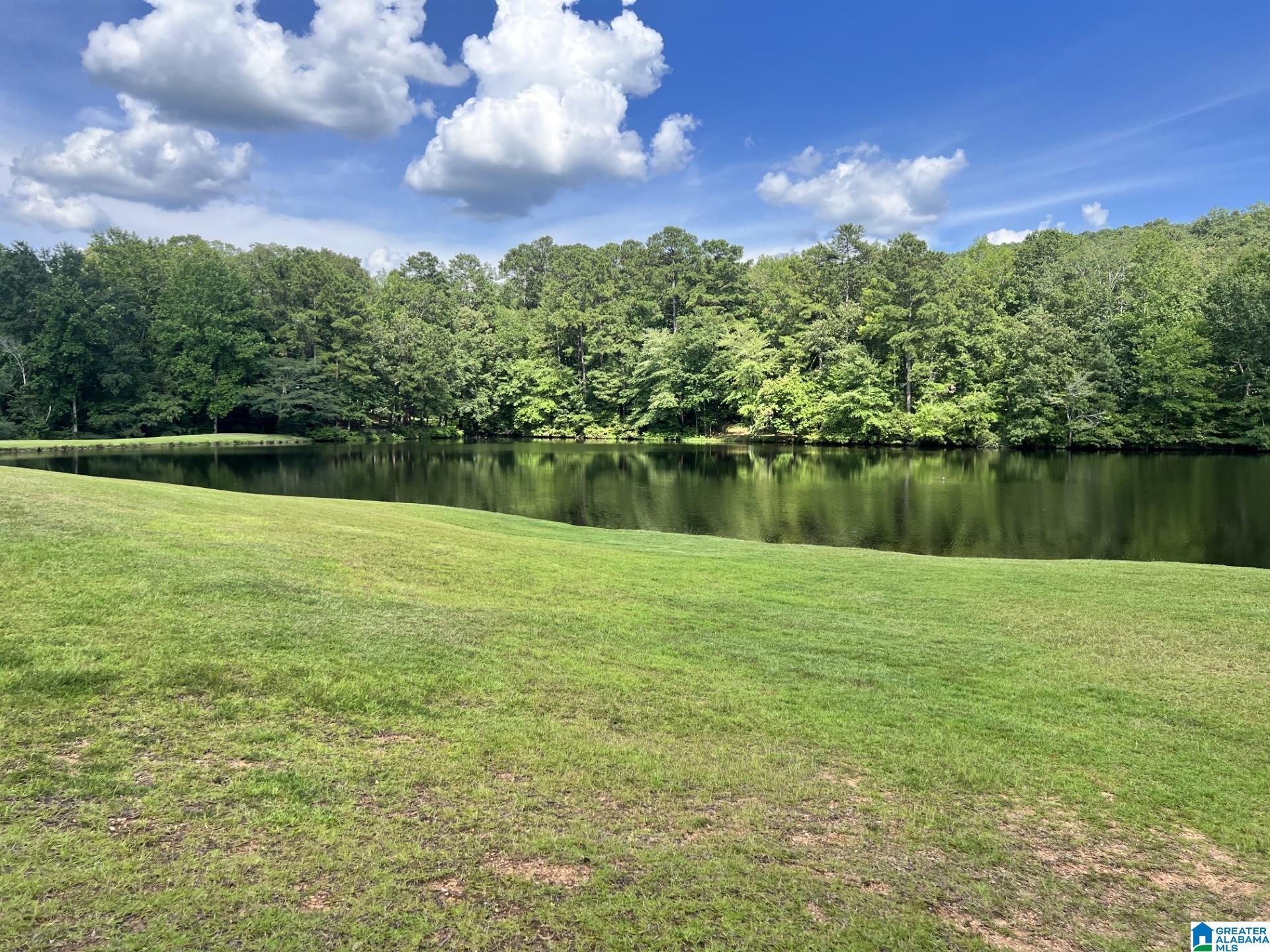 Homes for sale in Lake View, AL | 21219 Delmar Dr, Lake View, AL 35111 | MLS# 21426144