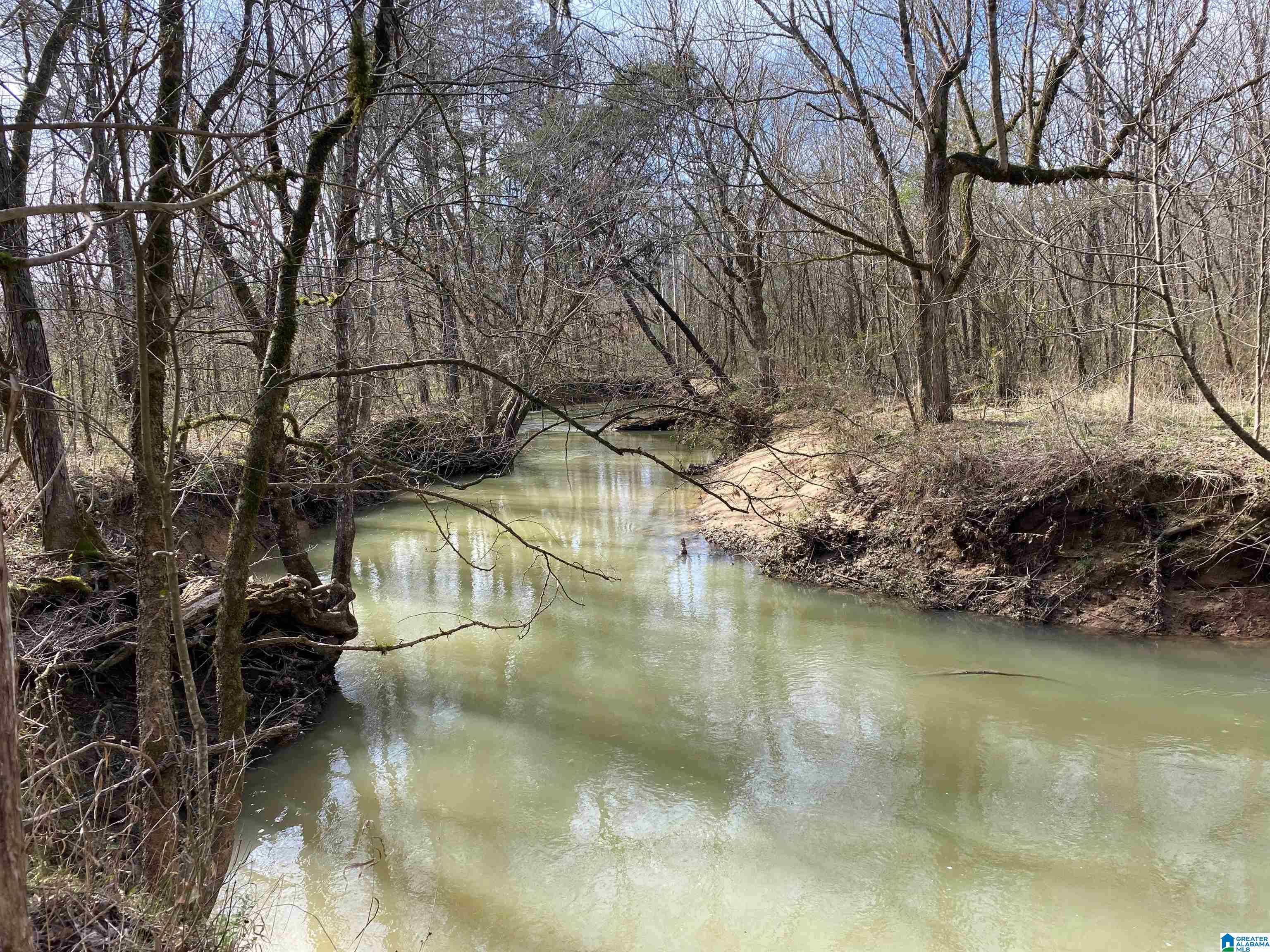 Homes for sale in Ashville, AL | 0 Hwy 231, Ashville, AL 35953 | MLS# 21426230