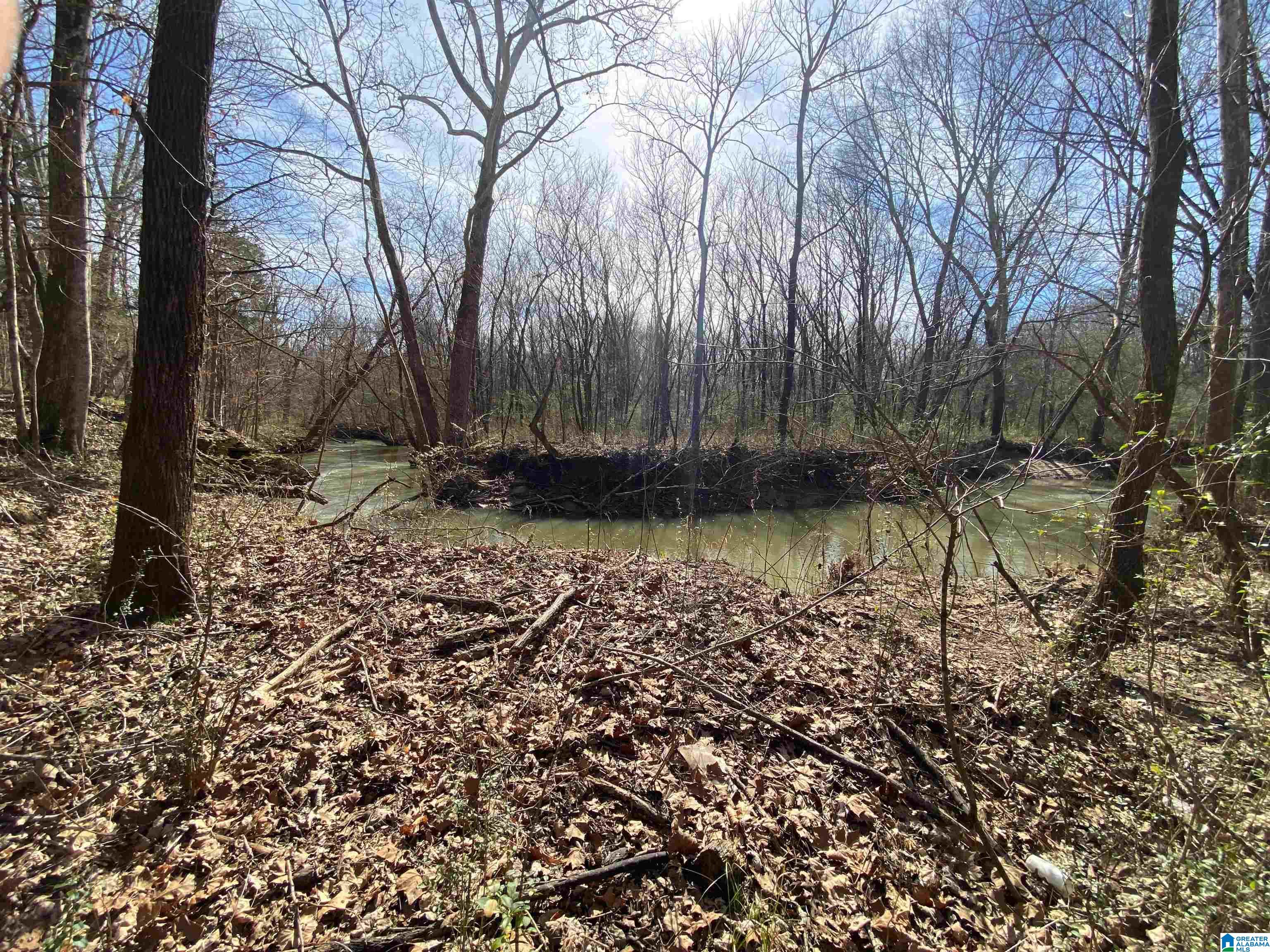 Homes for sale in Ashville, AL | 0 Hwy 231, Ashville, AL 35953 | MLS# 21426230