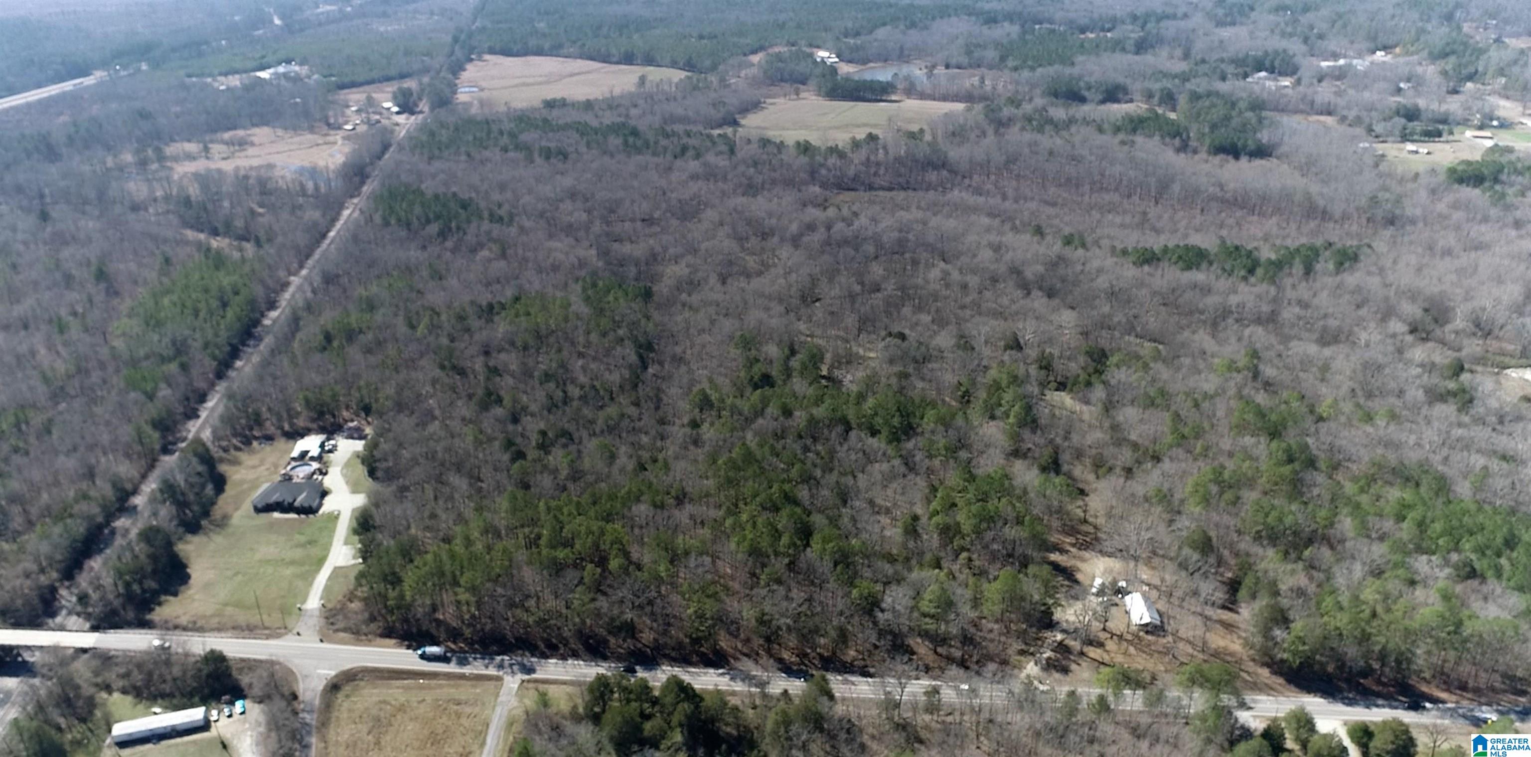 Homes for sale in Ashville, AL | 0 Hwy 231, Ashville, AL 35953 | MLS# 21426230