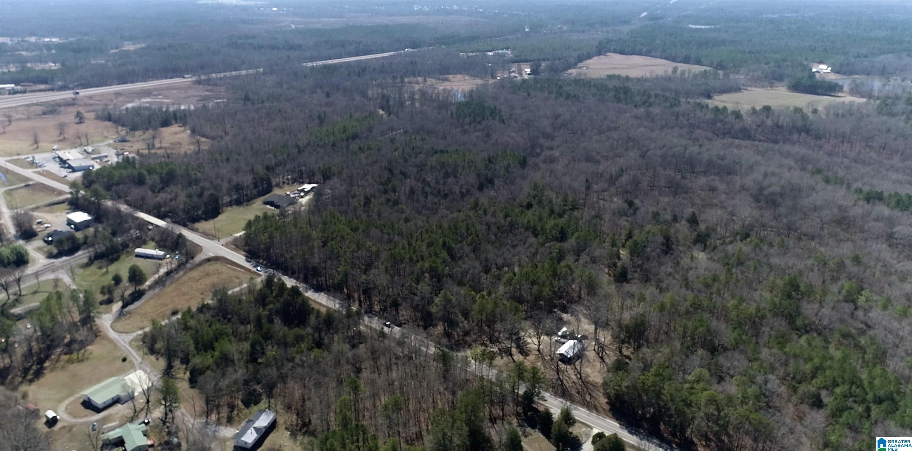 Homes for sale in Ashville, AL | 0 Hwy 231, Ashville, AL 35953 | MLS# 21426230