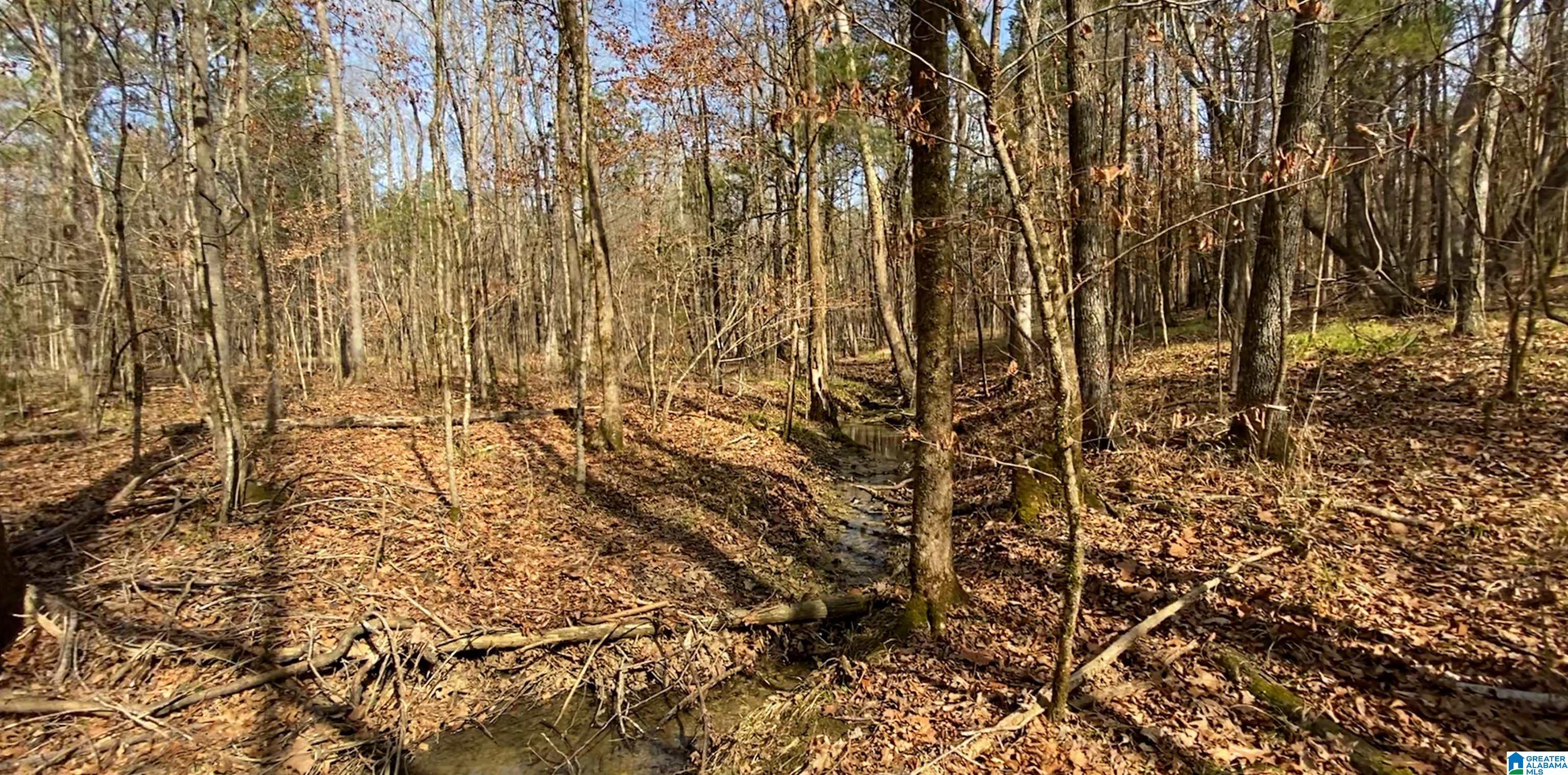 Homes for sale in Ashville, AL | 0 Hwy 231, Ashville, AL 35953 | MLS# 21426230