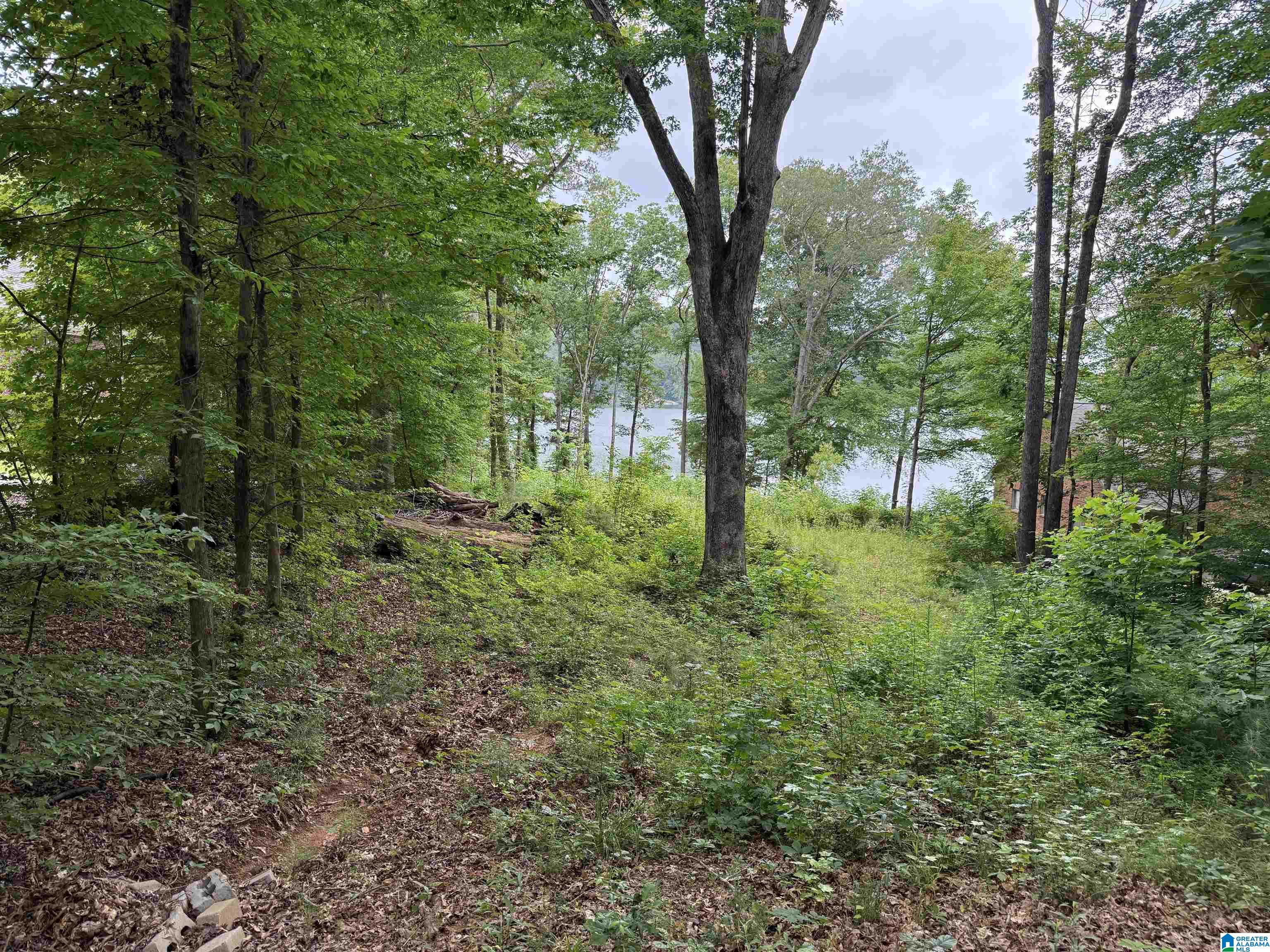 Homes for sale in Pinson, AL | 8232 Cedar Mountain Road, Pinson, AL 35126 | MLS# 21426292