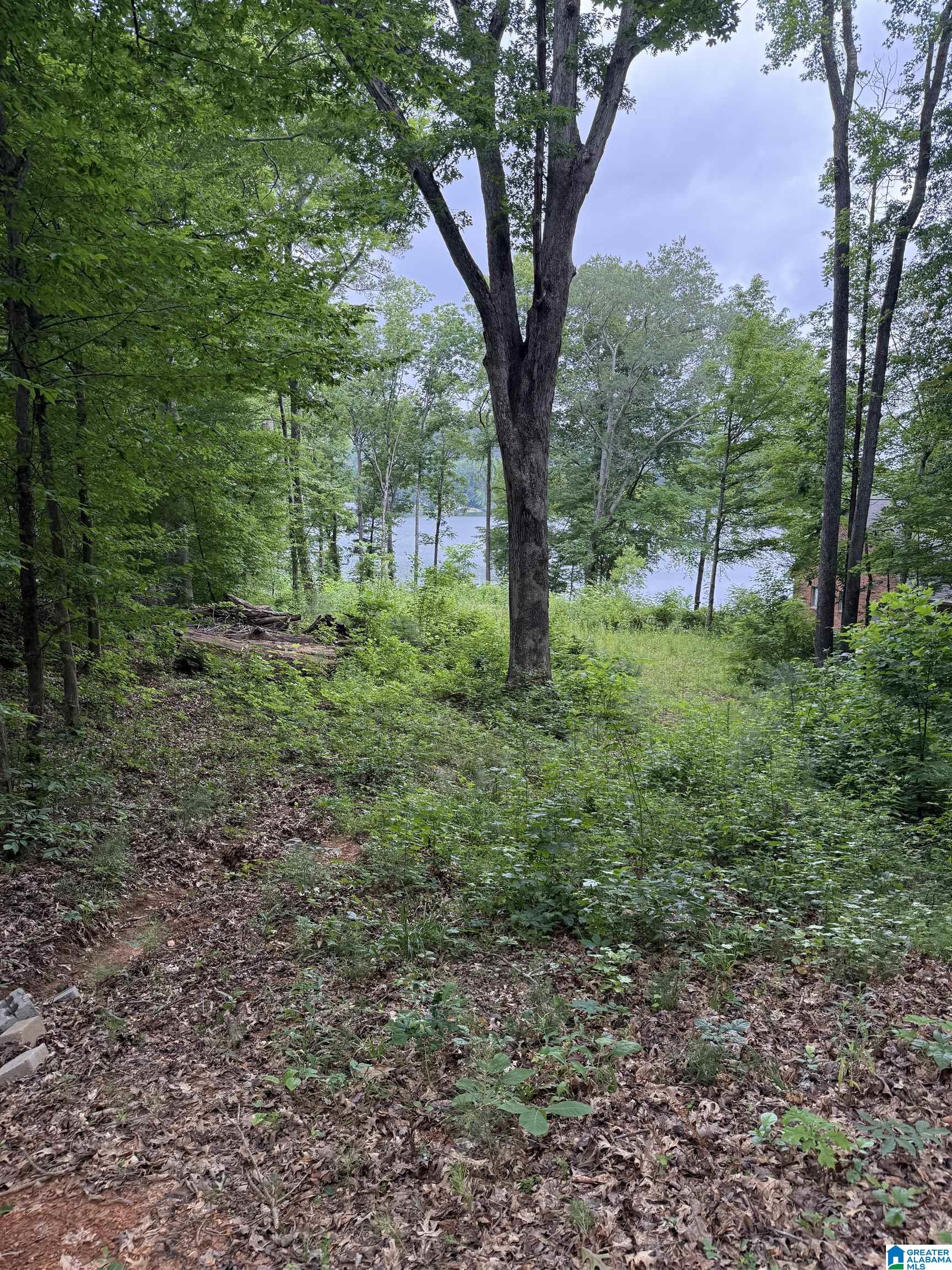 Homes for sale in Pinson, AL | 8232 Cedar Mountain Road, Pinson, AL 35126 | MLS# 21426292