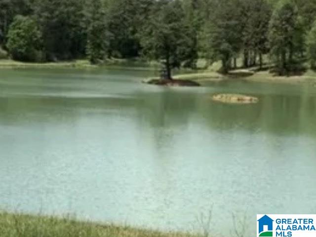 Homes for sale in Springville, AL | 410 Gray Fox Road, Springville, AL 35146 | MLS# 21426336