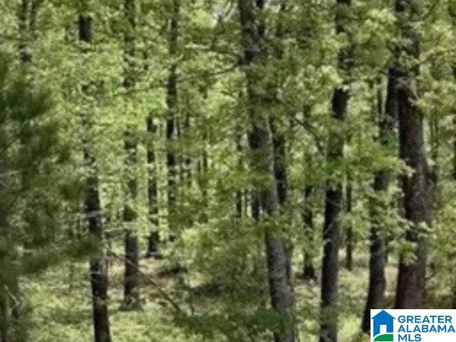 Homes for sale in Springville, AL | 405 Gray Fox Road, Springville, AL 35146 | MLS# 21426337