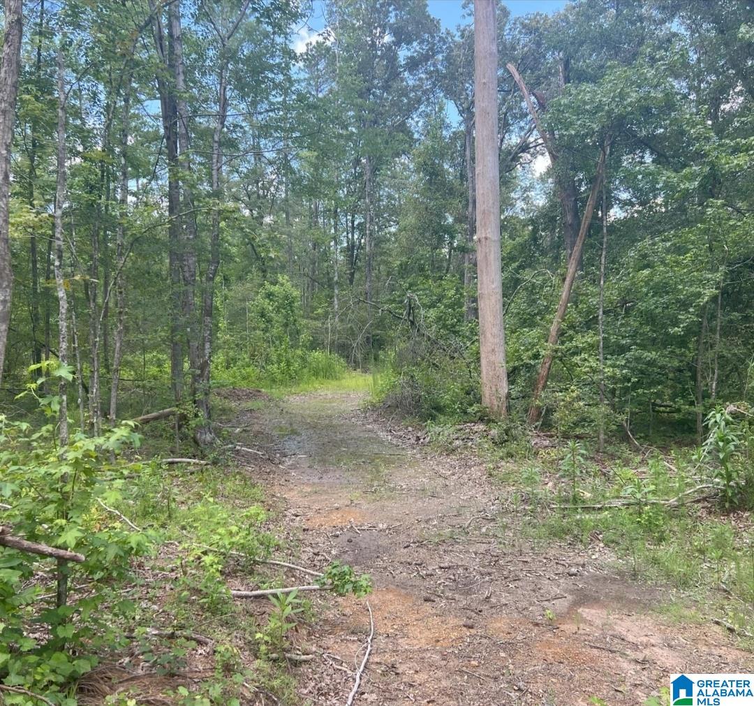 Homes for sale in Vincent, AL | 000 Fleming Road, Vincent, AL 35178 | MLS# 21426384