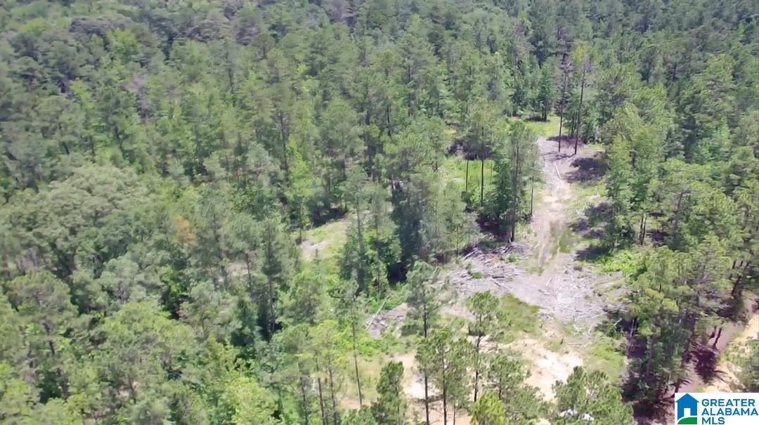 Homes for sale in Vincent, AL | 000 Fleming Road, Vincent, AL 35178 | MLS# 21426384