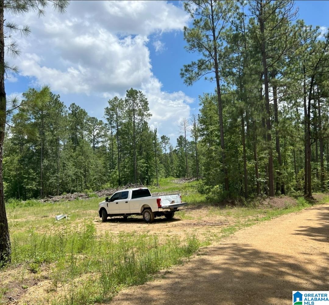 Homes for sale in Vincent, AL | 000 Fleming Road, Vincent, AL 35178 | MLS# 21426384