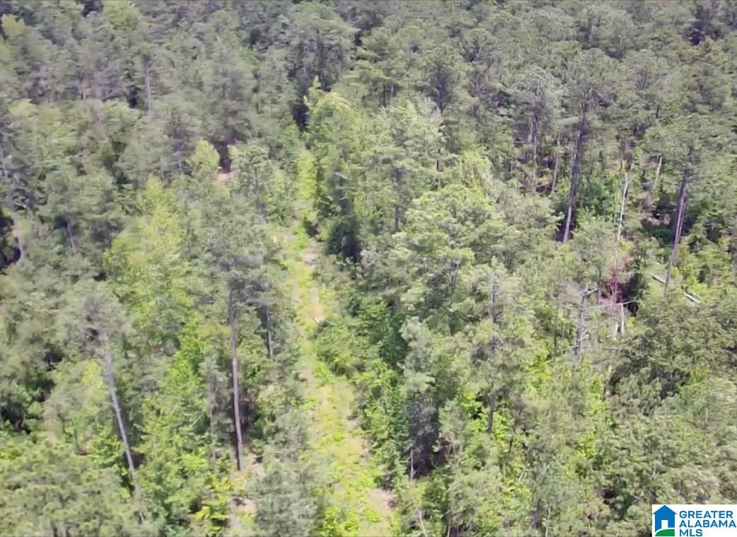 Homes for sale in Vincent, AL | 000 Fleming Road, Vincent, AL 35178 | MLS# 21426384