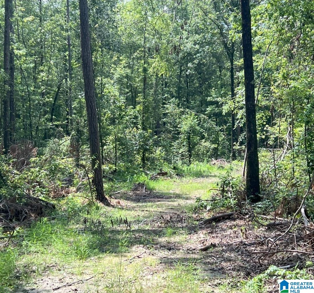 Homes for sale in Vincent, AL | 000 Fleming Road, Vincent, AL 35178 | MLS# 21426384