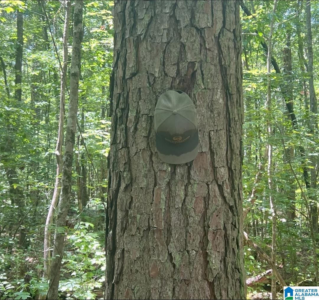 Homes for sale in Vincent, AL | 000 Fleming Road, Vincent, AL 35178 | MLS# 21426384