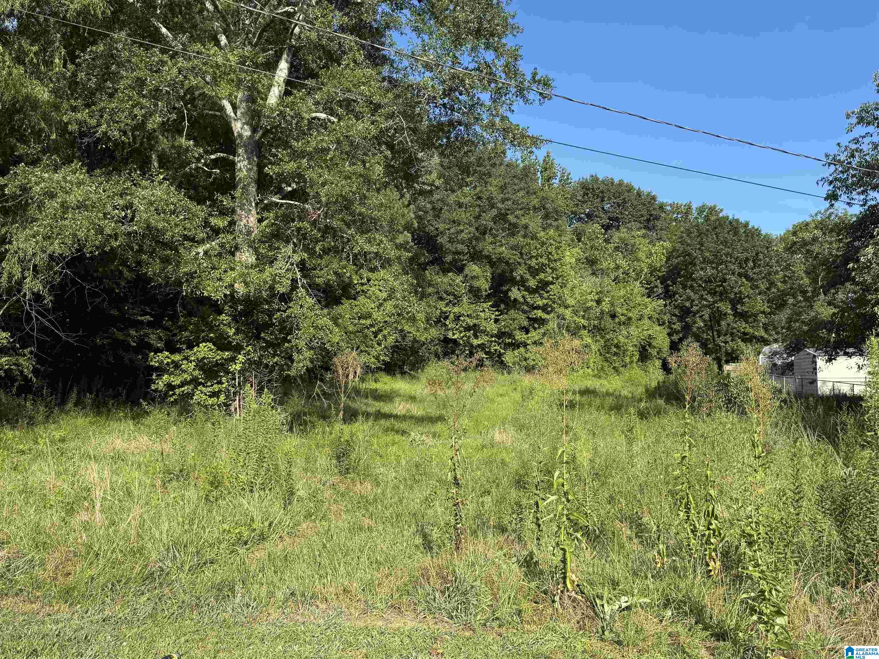 Homes for sale in Kimberly, AL | 8024 Warrior Kimberly Road, Kimberly, AL 35091 | MLS# 21426498