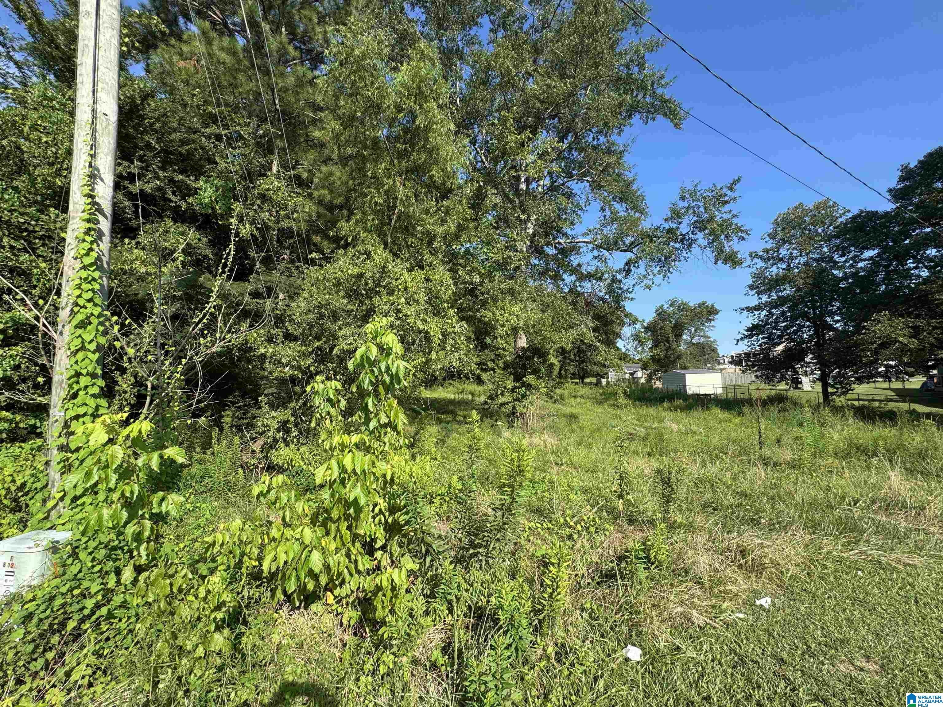 Homes for sale in Kimberly, AL | 8024 Warrior Kimberly Road, Kimberly, AL 35091 | MLS# 21426498