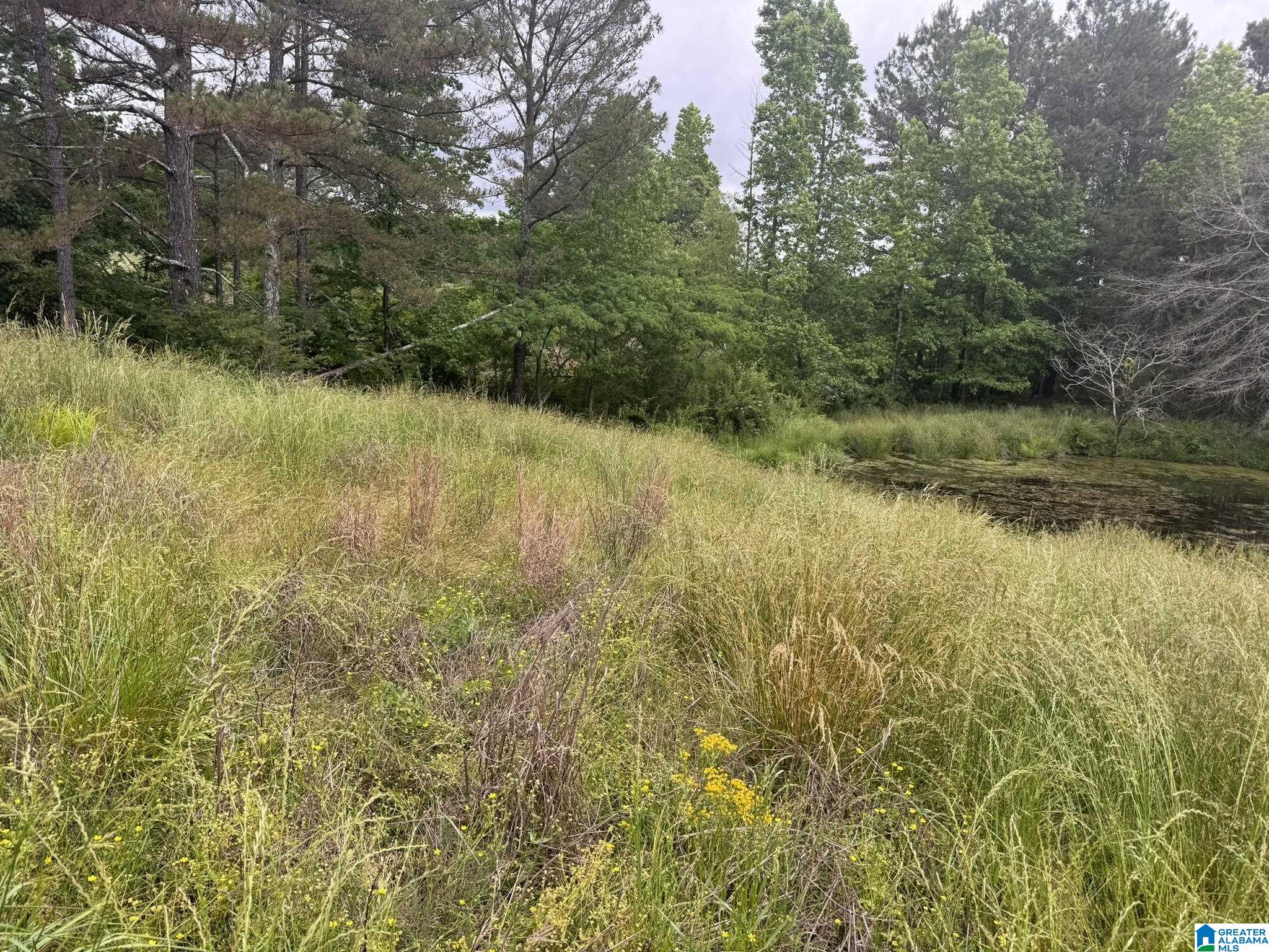 Homes for sale in Nauvoo, AL | 0 Busby Cut Off Road, Nauvoo, AL 35578 | MLS# 21426537