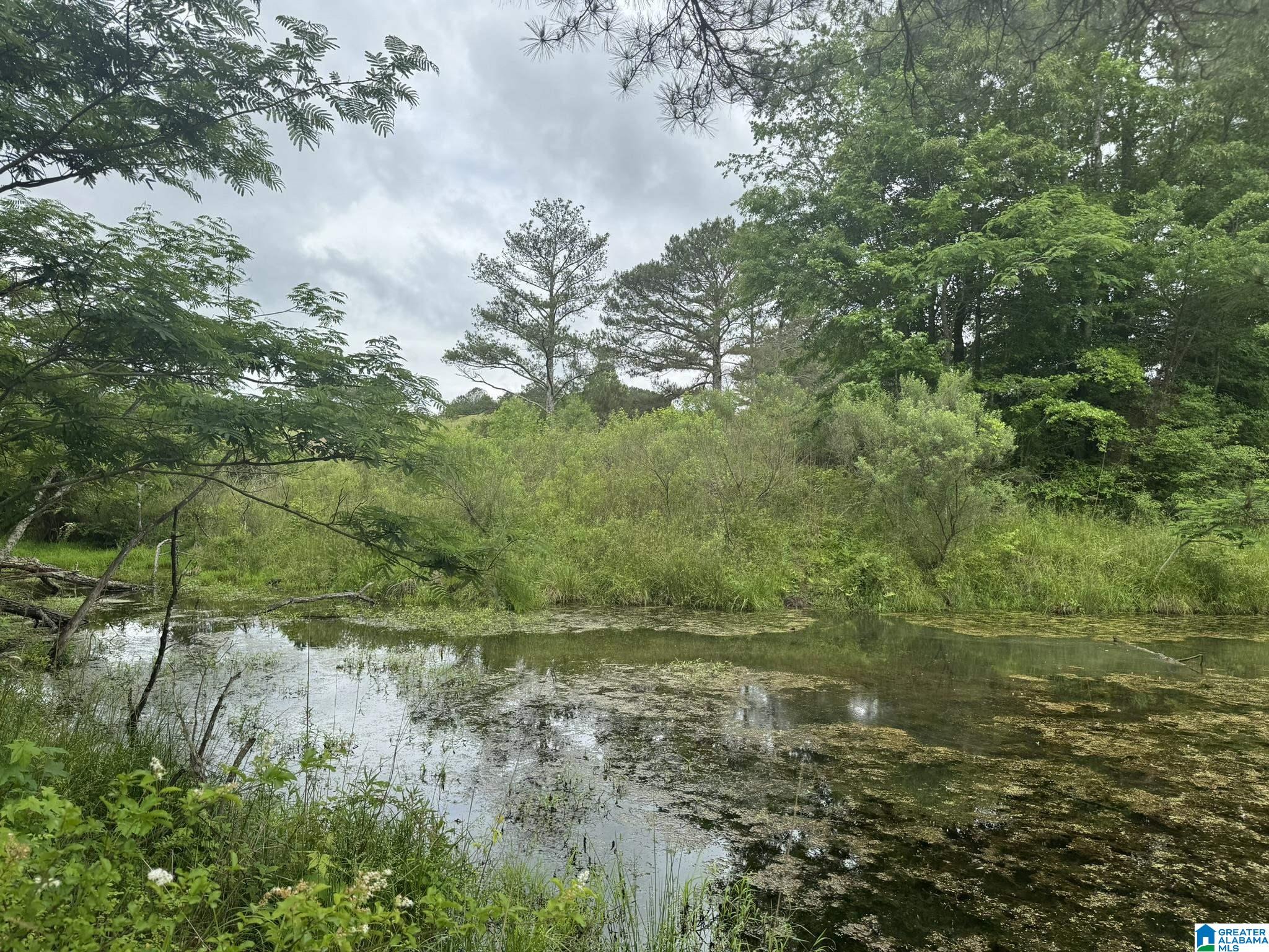 Homes for sale in Nauvoo, AL | 0 Busby Cut Off Road, Nauvoo, AL 35578 | MLS# 21426537