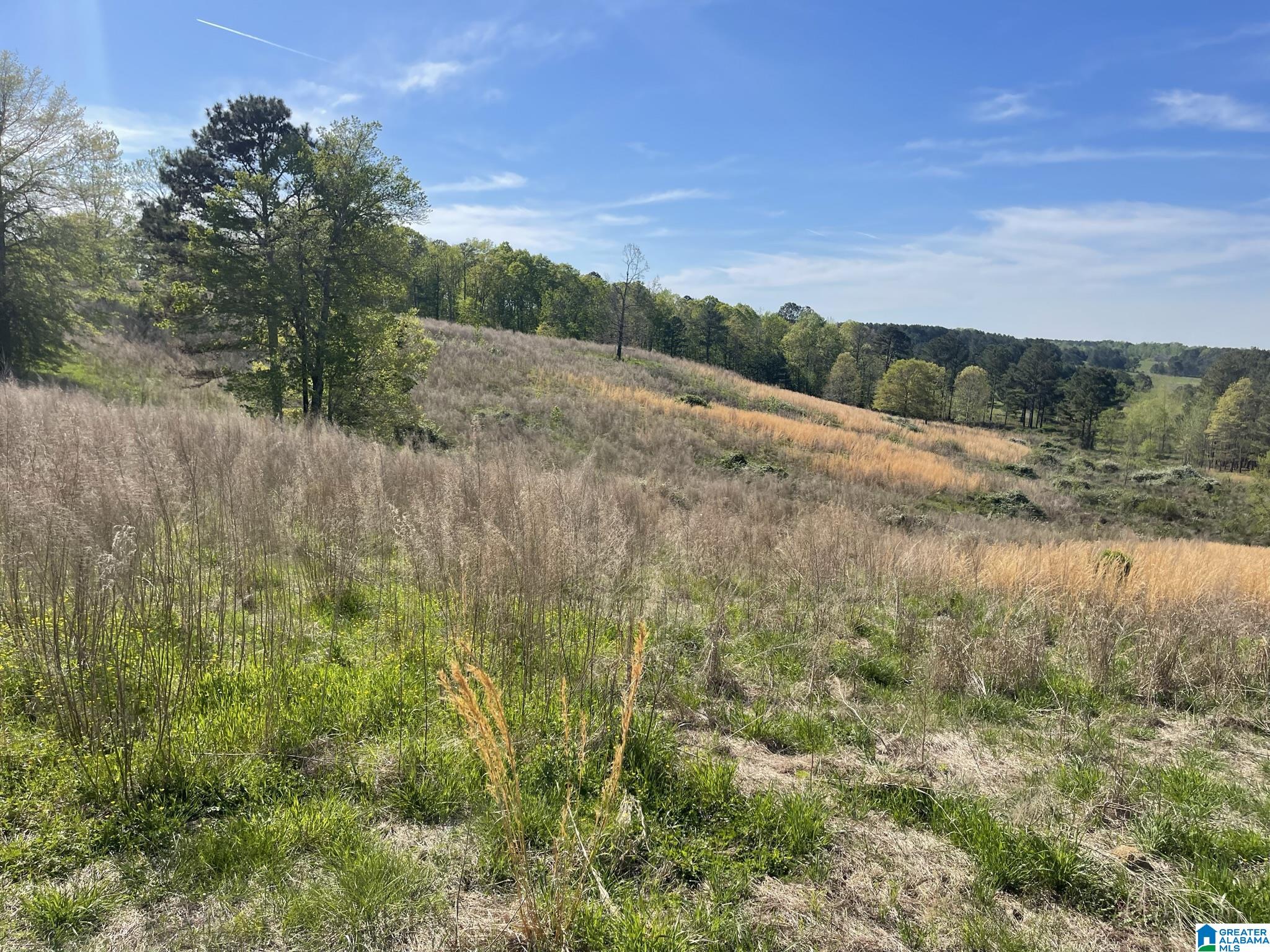 Homes for sale in Nauvoo, AL | 0 Busby Cut Off Road, Nauvoo, AL 35578 | MLS# 21426537