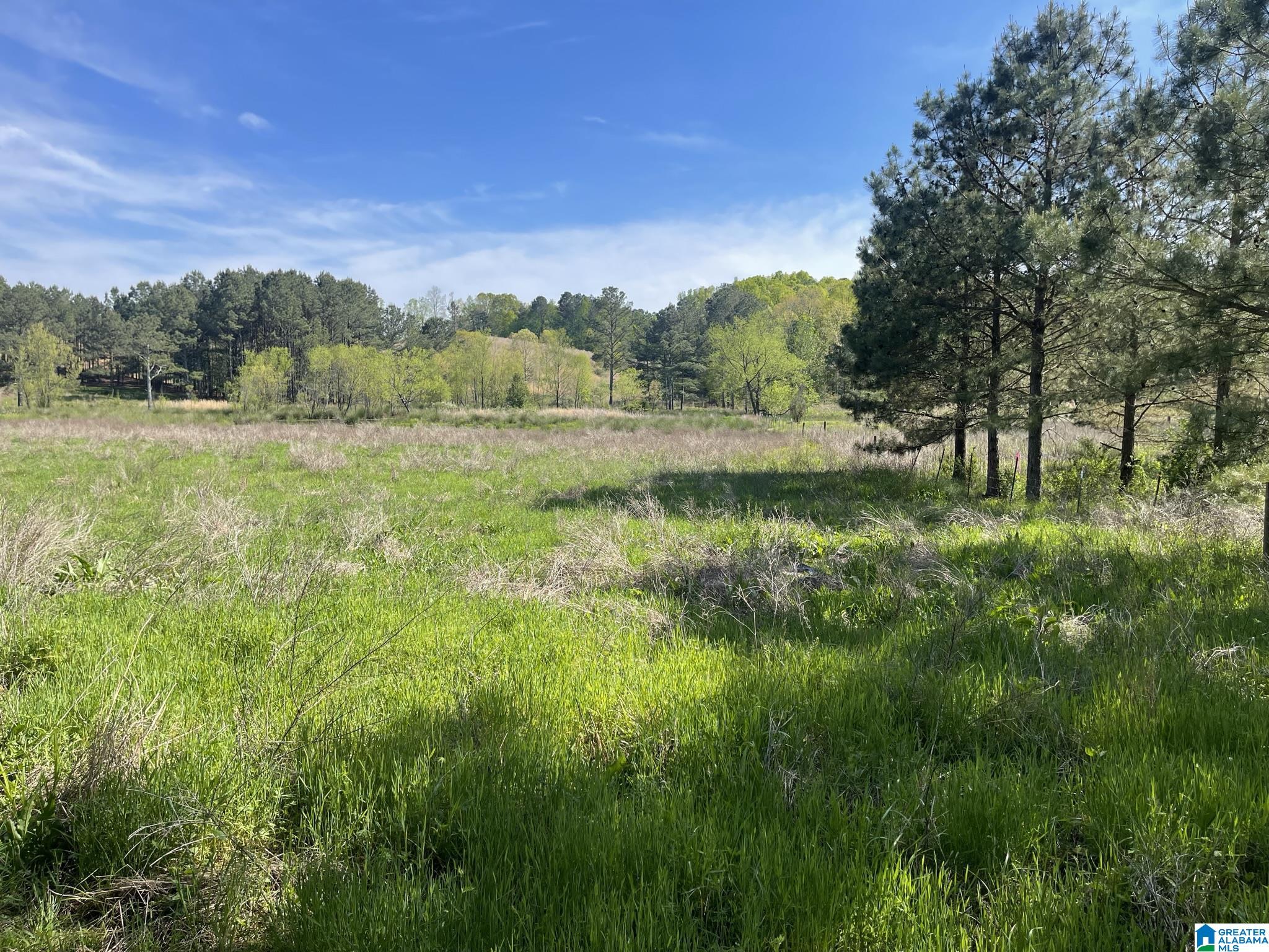 Homes for sale in Nauvoo, AL | 0 Busby Cut Off Road, Nauvoo, AL 35578 | MLS# 21426537