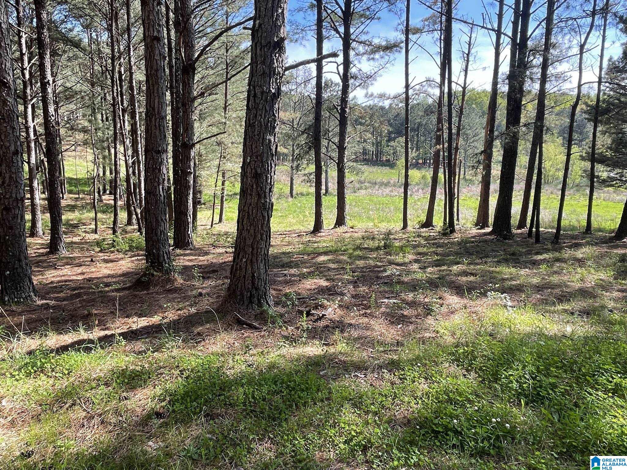 Homes for sale in Nauvoo, AL | 0 Busby Cut Off Road, Nauvoo, AL 35578 | MLS# 21426537