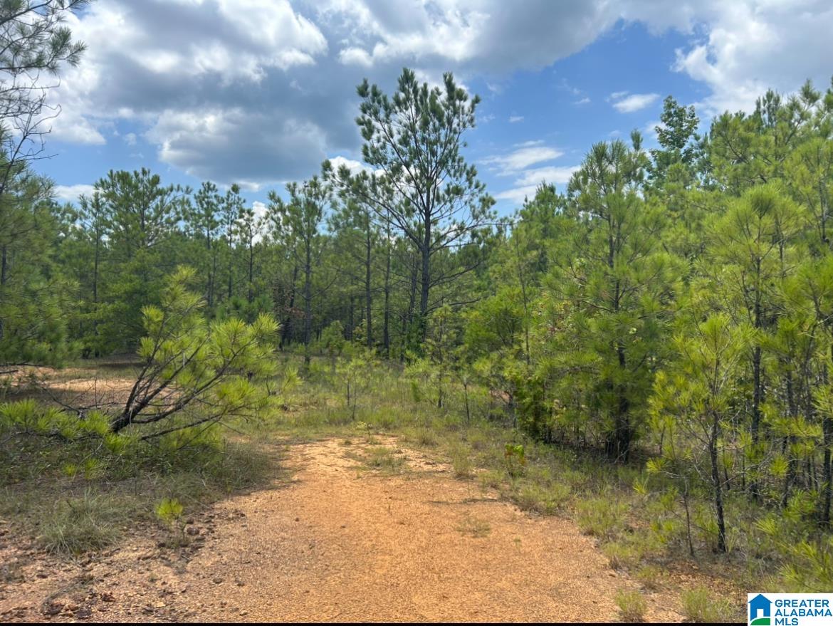 Homes for sale in West Blocton, AL | 23 Acres Truman Aldrich Parkway, West Blocton, AL 35184 | MLS# 21426840