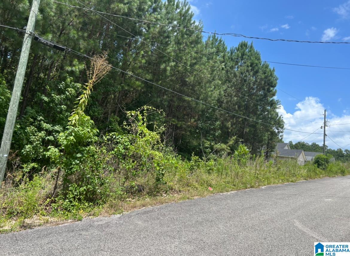 Homes for sale in West Blocton, AL | 23 Acres Truman Aldrich Parkway, West Blocton, AL 35184 | MLS# 21426840