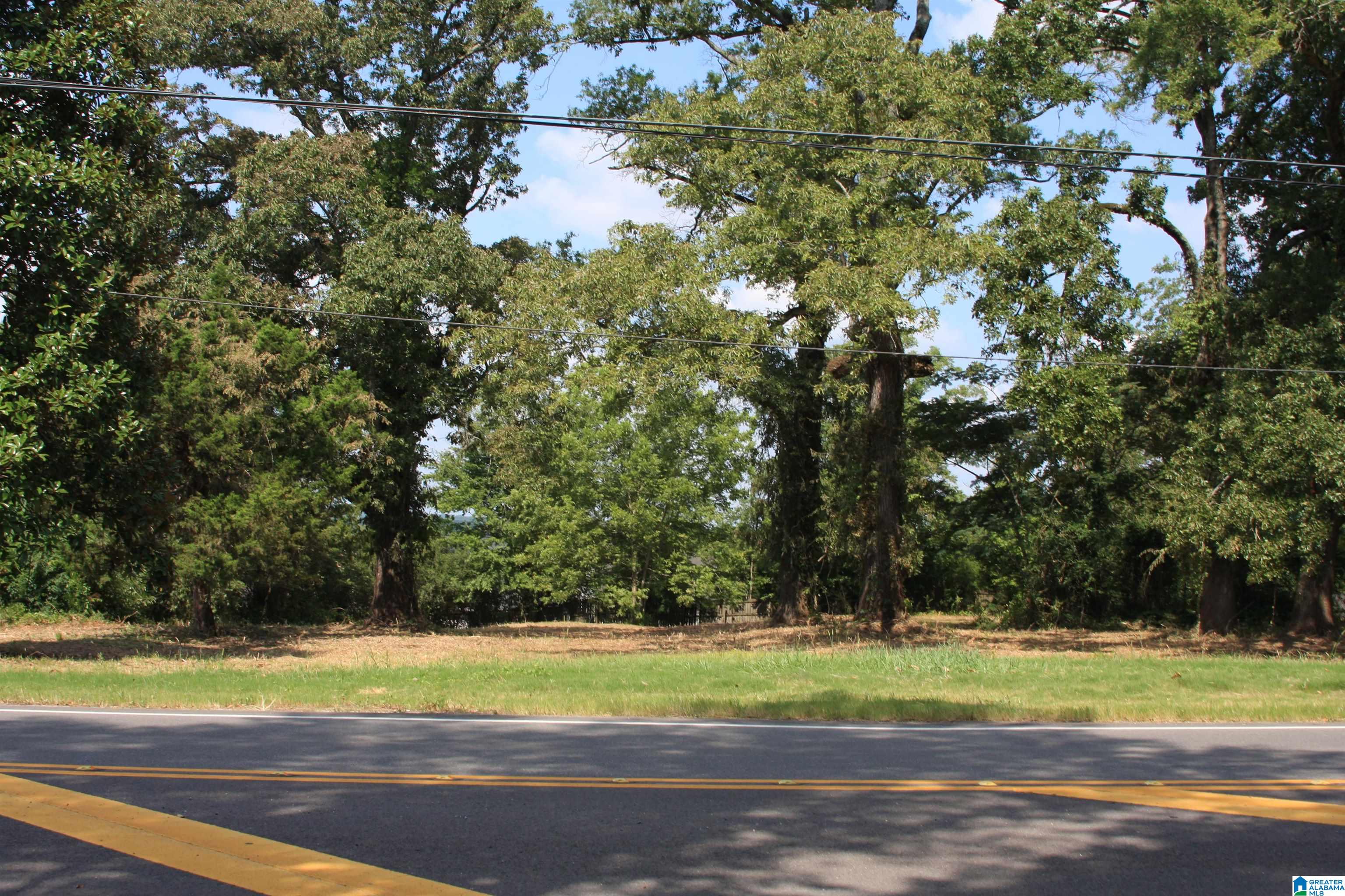 Homes for sale in Calera, AL | 5714 Smokey Road, Calera, AL 35040 | MLS# 21426904