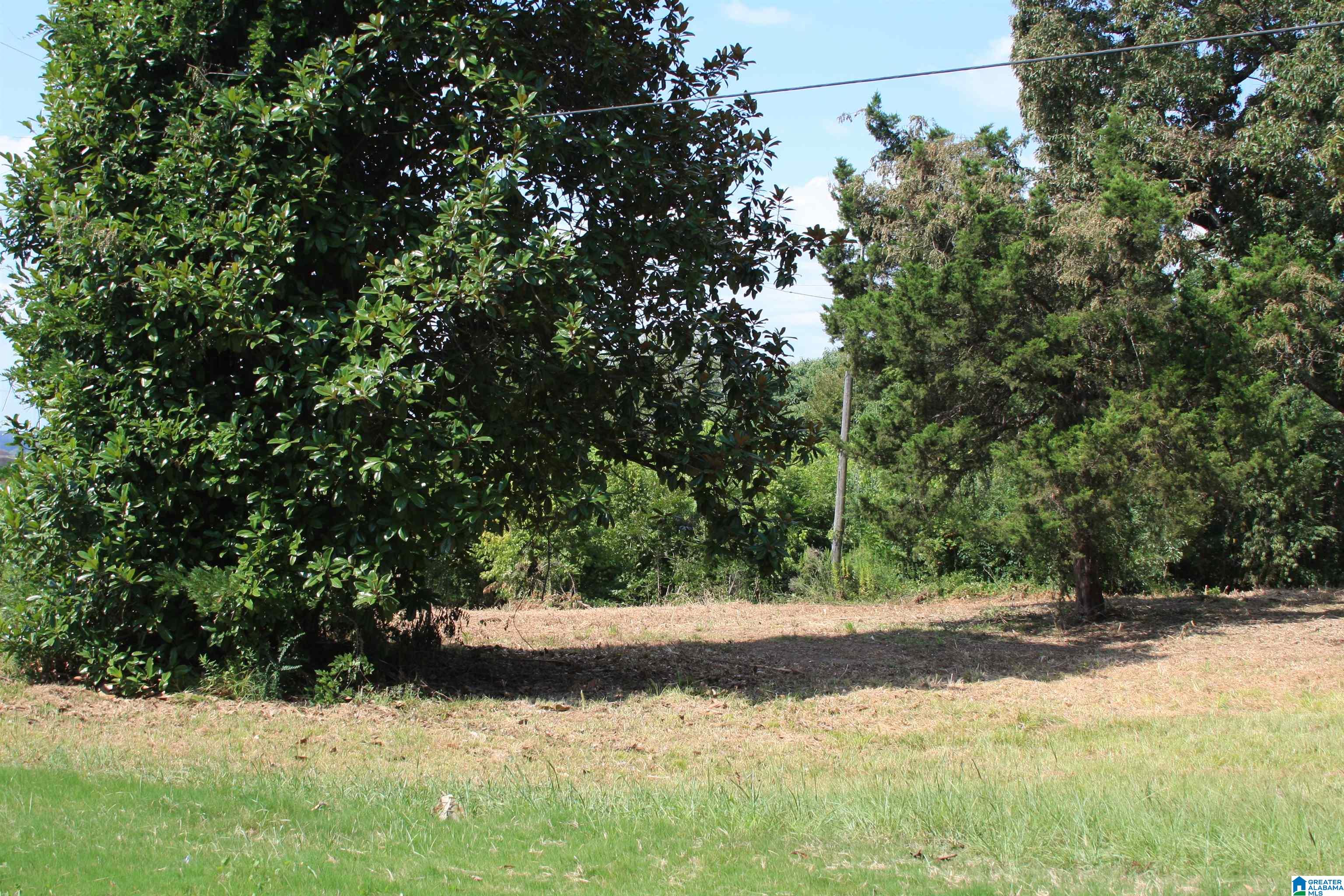 Homes for sale in Calera, AL | 5714 Smokey Road, Calera, AL 35040 | MLS# 21426904