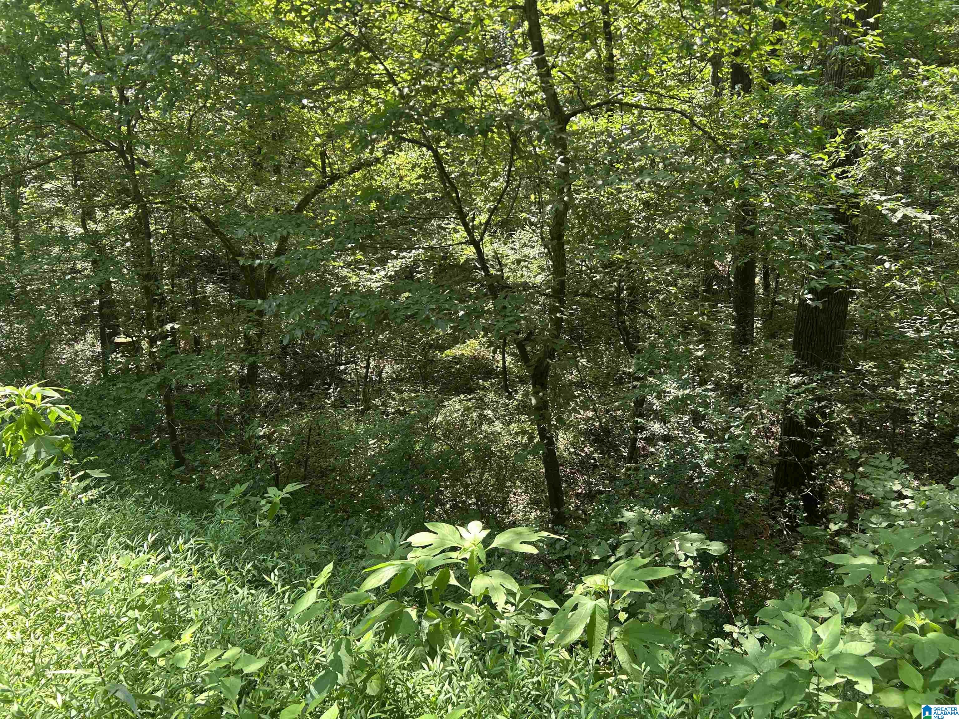 Homes for sale in Fultondale, AL | 5848 33Rd Street N, Fultondale, AL 35207 | MLS# 21426968