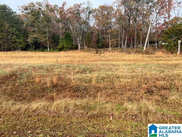 Homes for sale in Lincoln, AL | 90 Eastland Dr, Lincoln, AL 35096 | MLS# 21426992