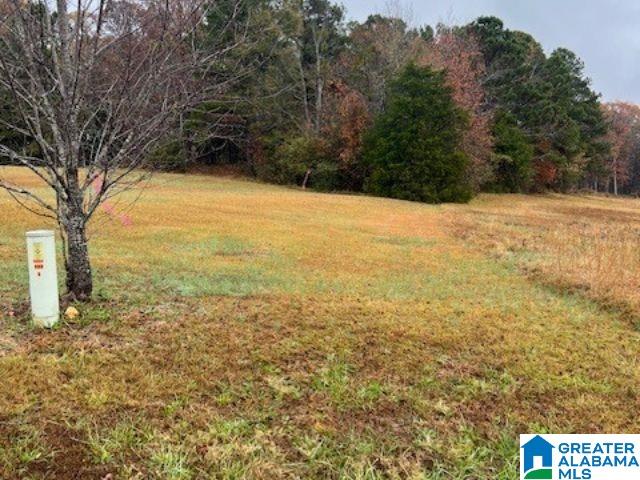 Homes for sale in Lincoln, AL | 90 Eastland Dr, Lincoln, AL 35096 | MLS# 21426992