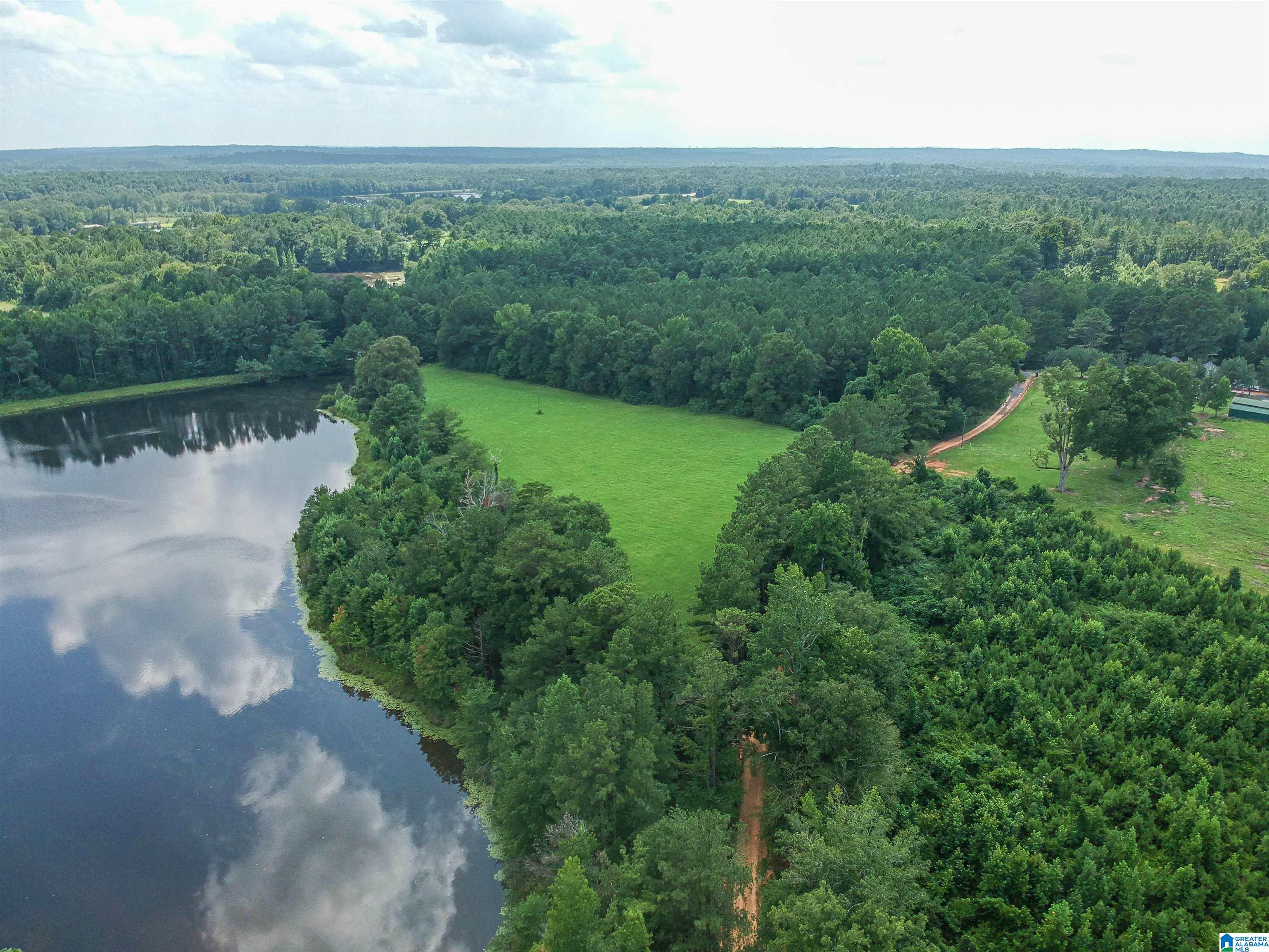 Homes for sale in Greensboro, AL | 0 Hwy 51, Greensboro, AL 36744 | MLS# 21427157