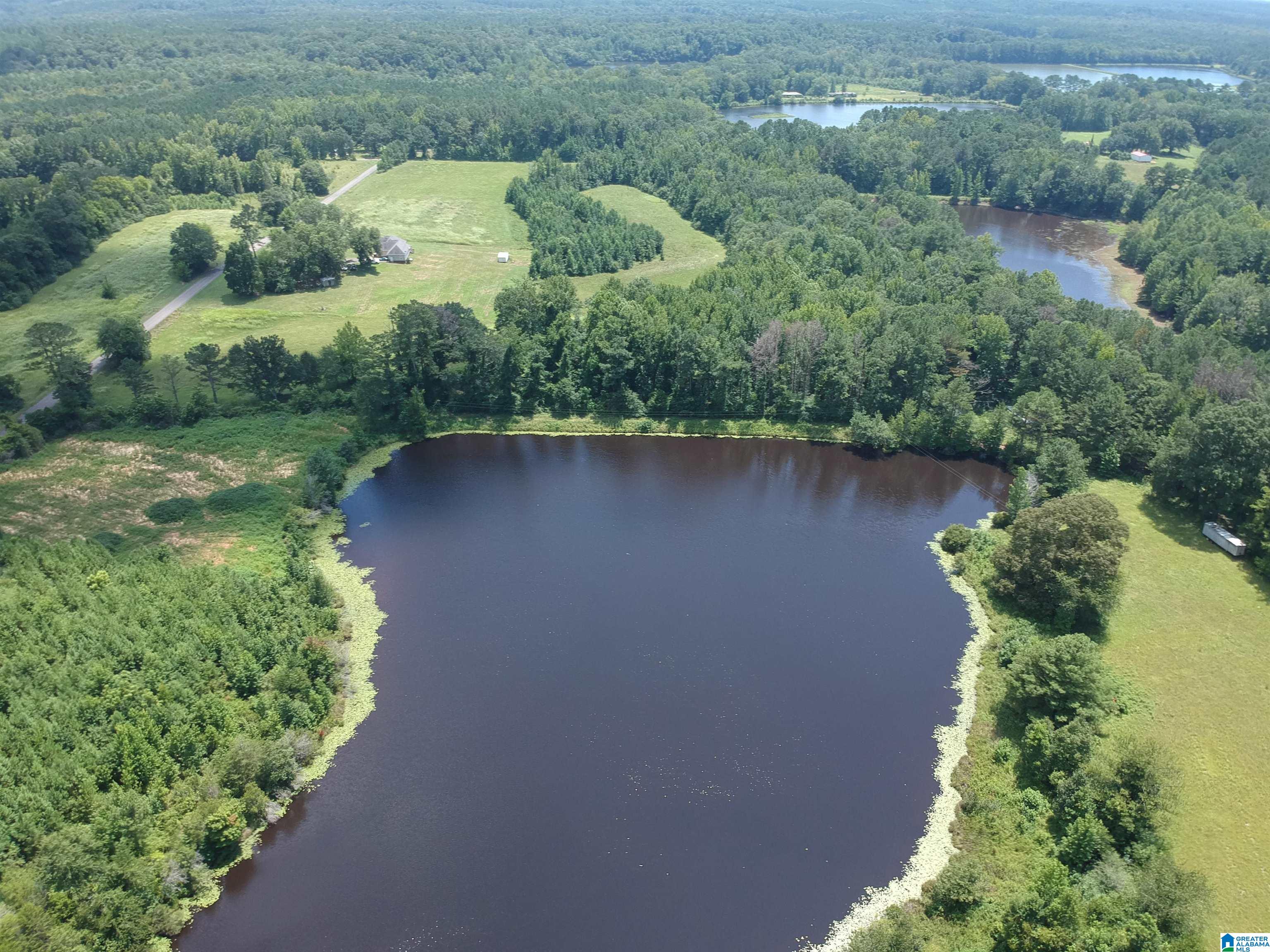 Homes for sale in Greensboro, AL | 0 Hwy 51, Greensboro, AL 36744 | MLS# 21427157