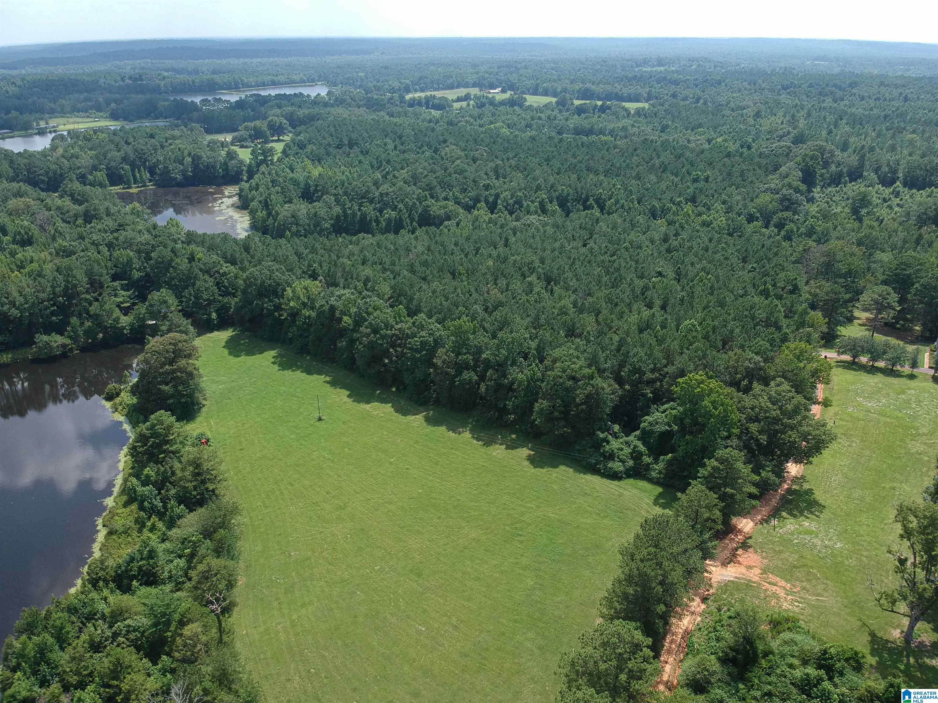 Homes for sale in Greensboro, AL | 0 Hwy 51, Greensboro, AL 36744 | MLS# 21427157