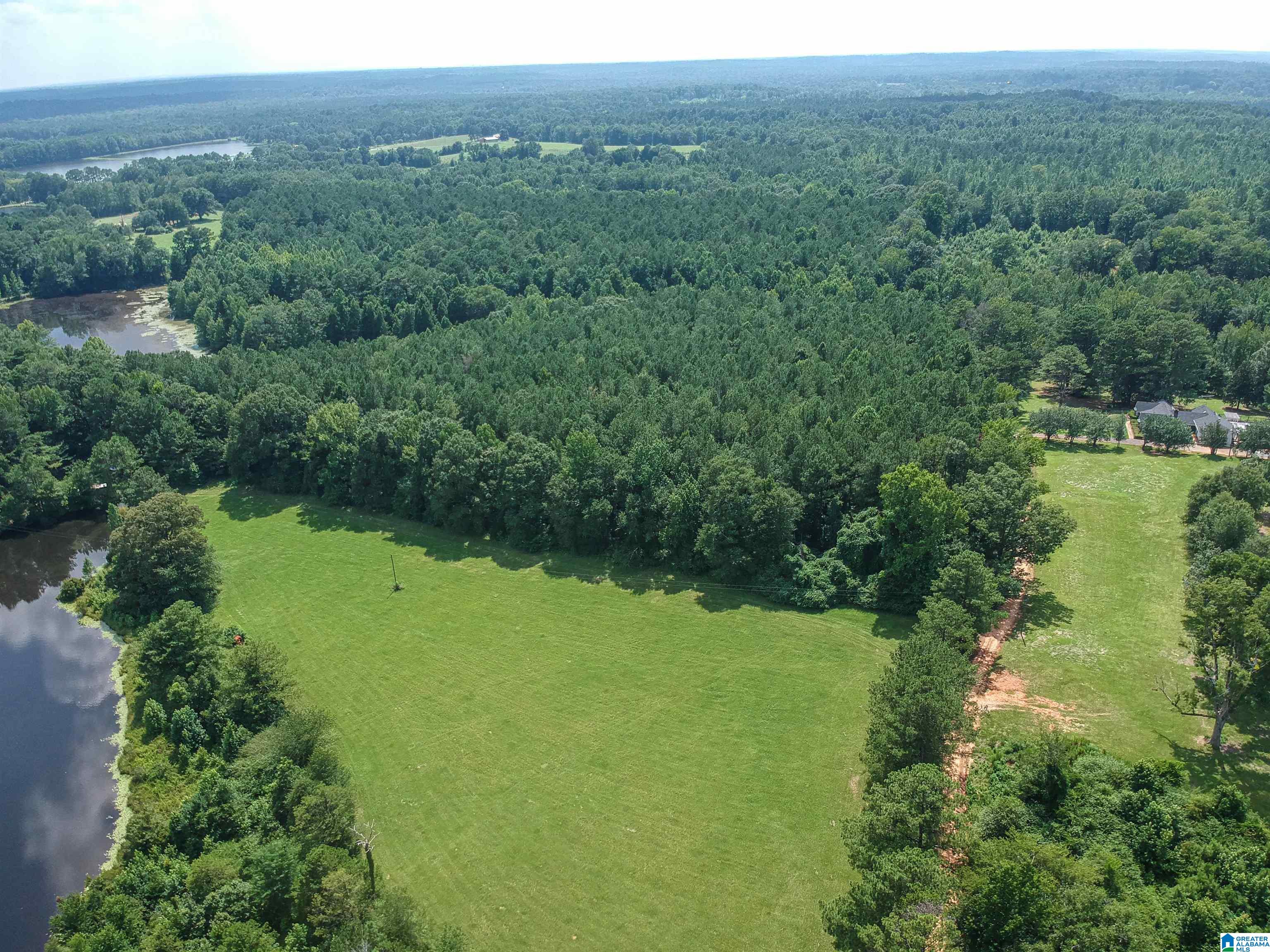 Homes for sale in Greensboro, AL | 0 Hwy 51, Greensboro, AL 36744 | MLS# 21427157