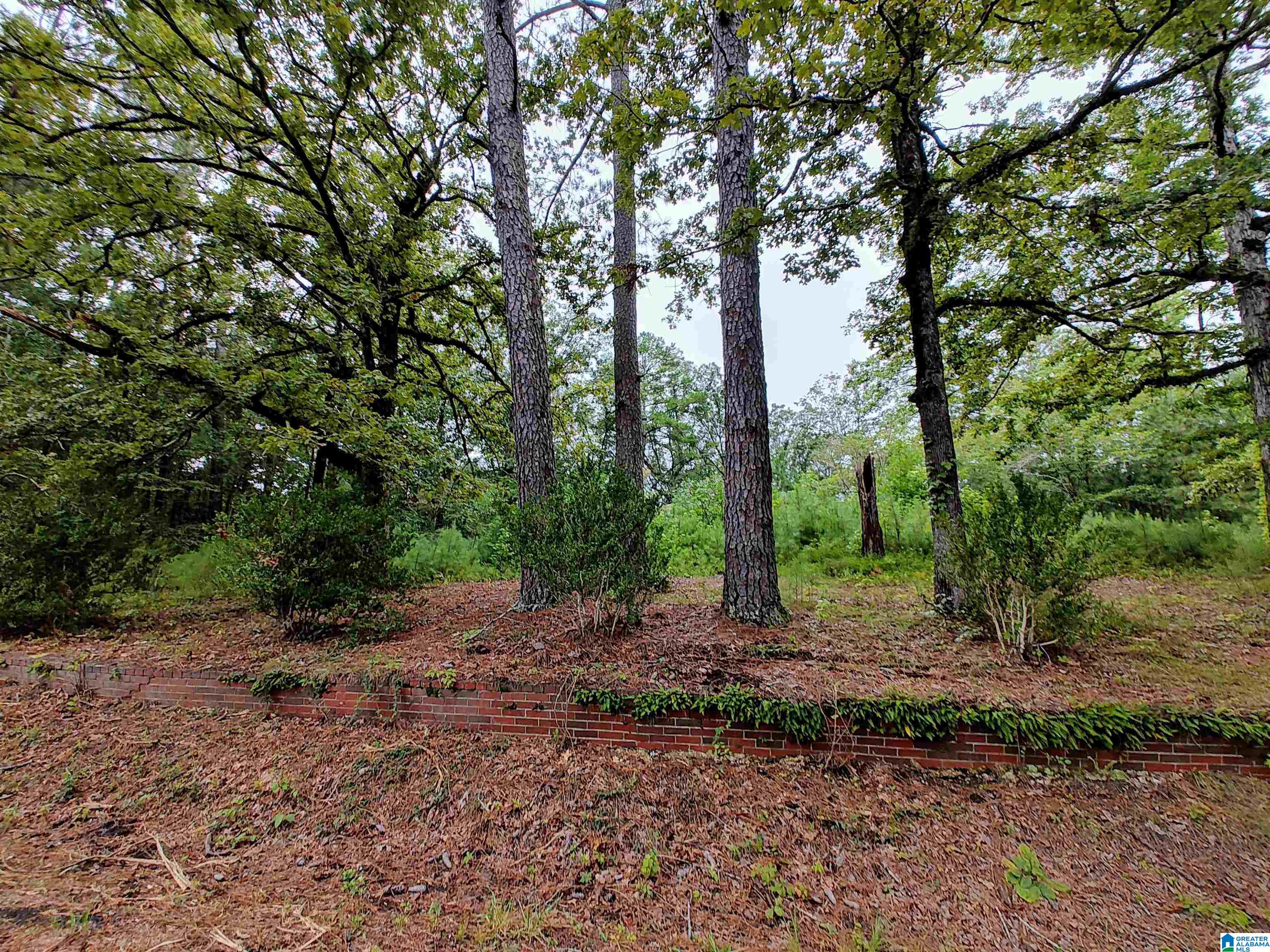 Homes for sale in Pell City, AL | 160 Circle Dr Ne, Pell City, AL 35128 | MLS# 21427160