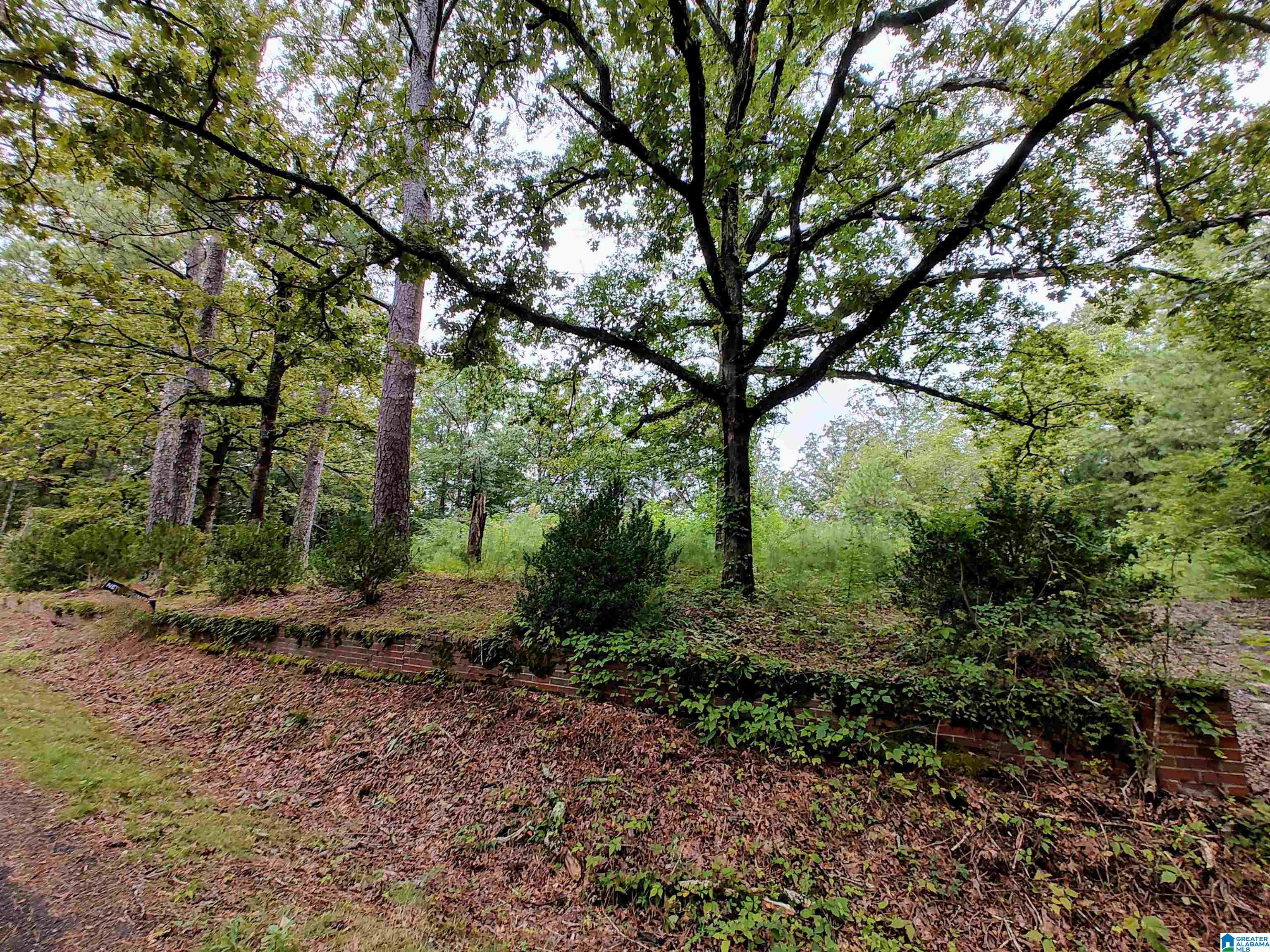 Homes for sale in Pell City, AL | 160 Circle Dr Ne, Pell City, AL 35128 | MLS# 21427160