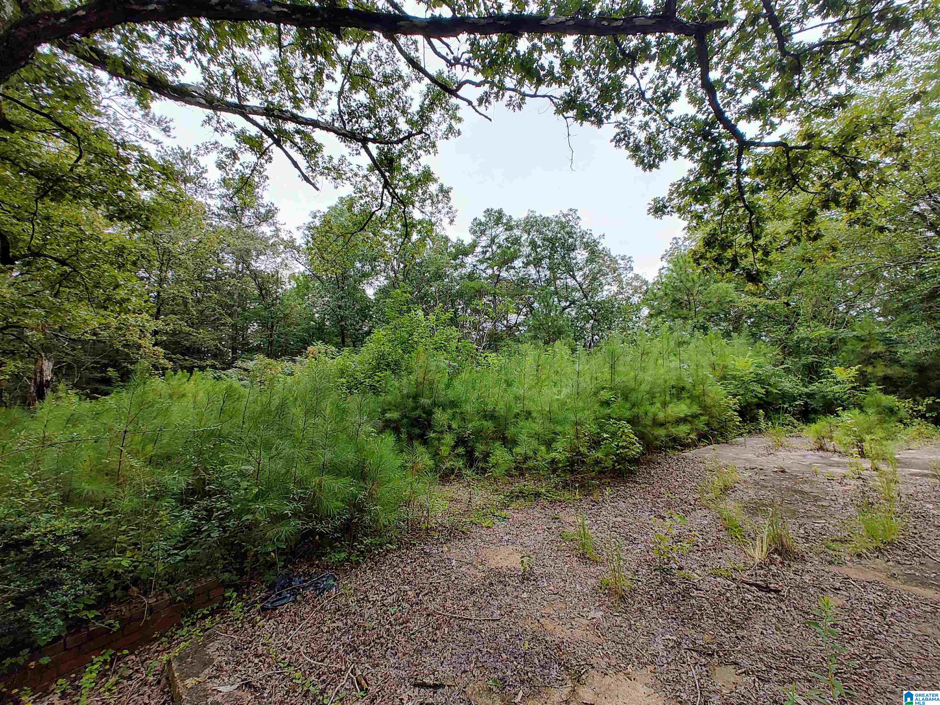 Homes for sale in Pell City, AL | 160 Circle Dr Ne, Pell City, AL 35128 | MLS# 21427160