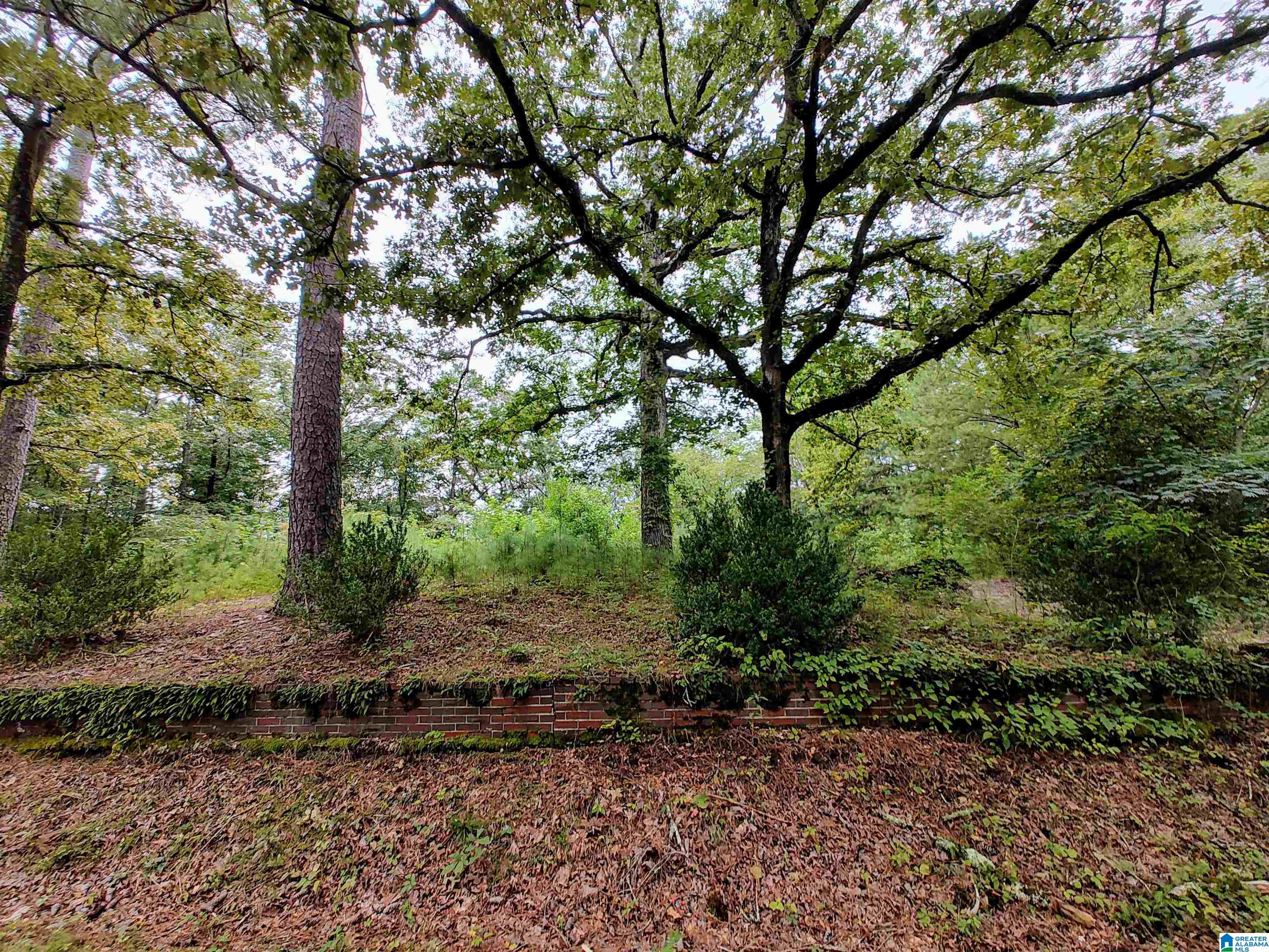 Homes for sale in Pell City, AL | 160 Circle Dr Ne, Pell City, AL 35128 | MLS# 21427160