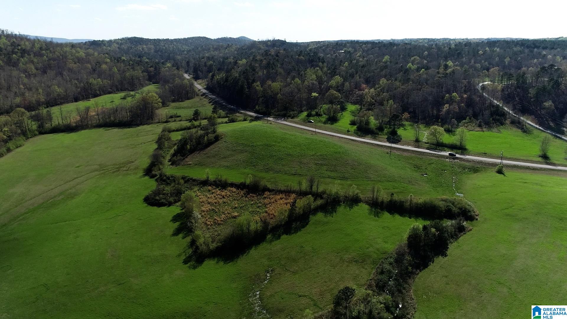 Homes for sale in Springville, AL | Hwy 174, Springville, AL 35146 | MLS# 21427180