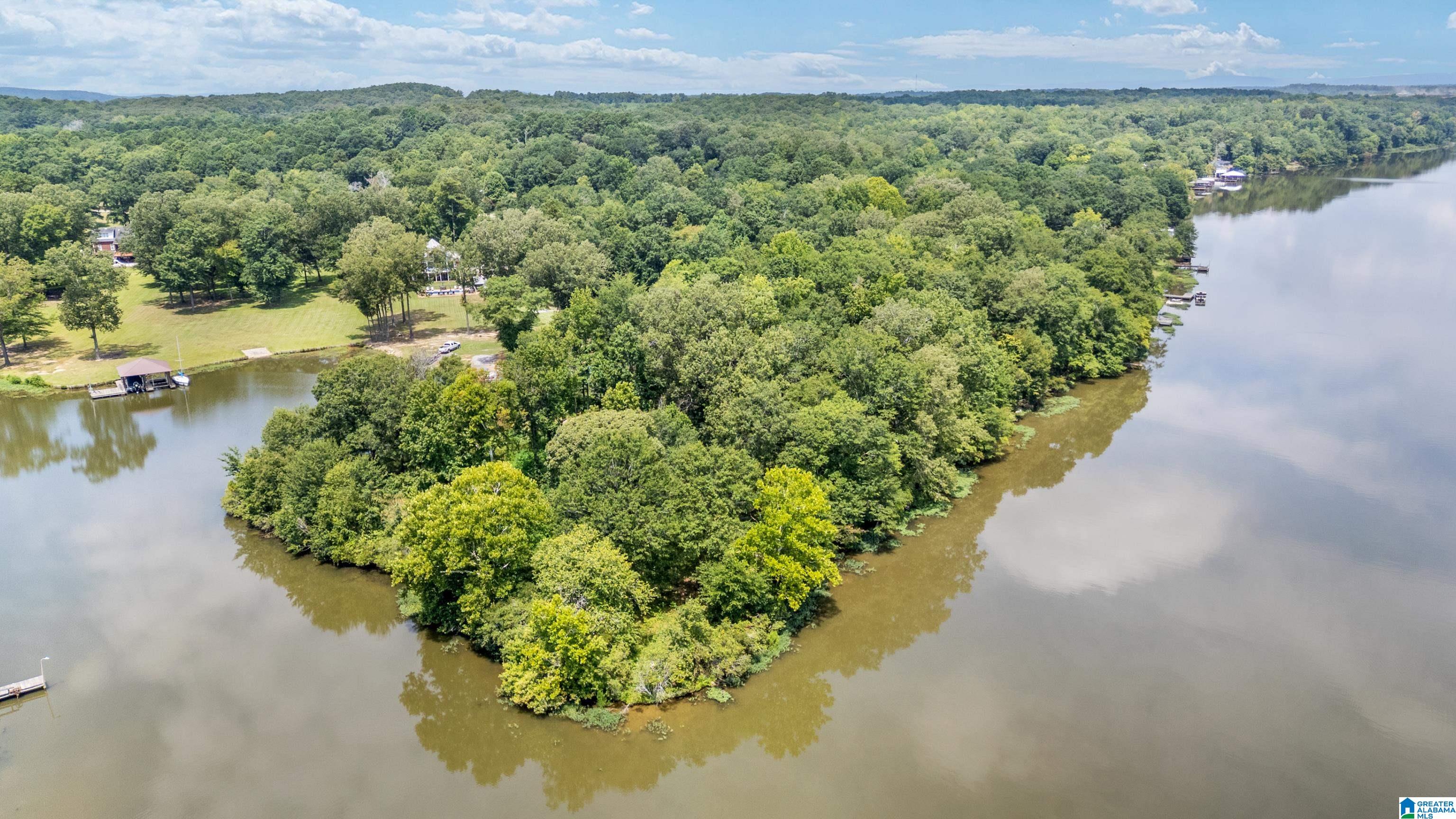 Homes for sale in Wilsonville, AL | Lot 7a Hebb Road, Wilsonville, AL 35186 | MLS# 21427223