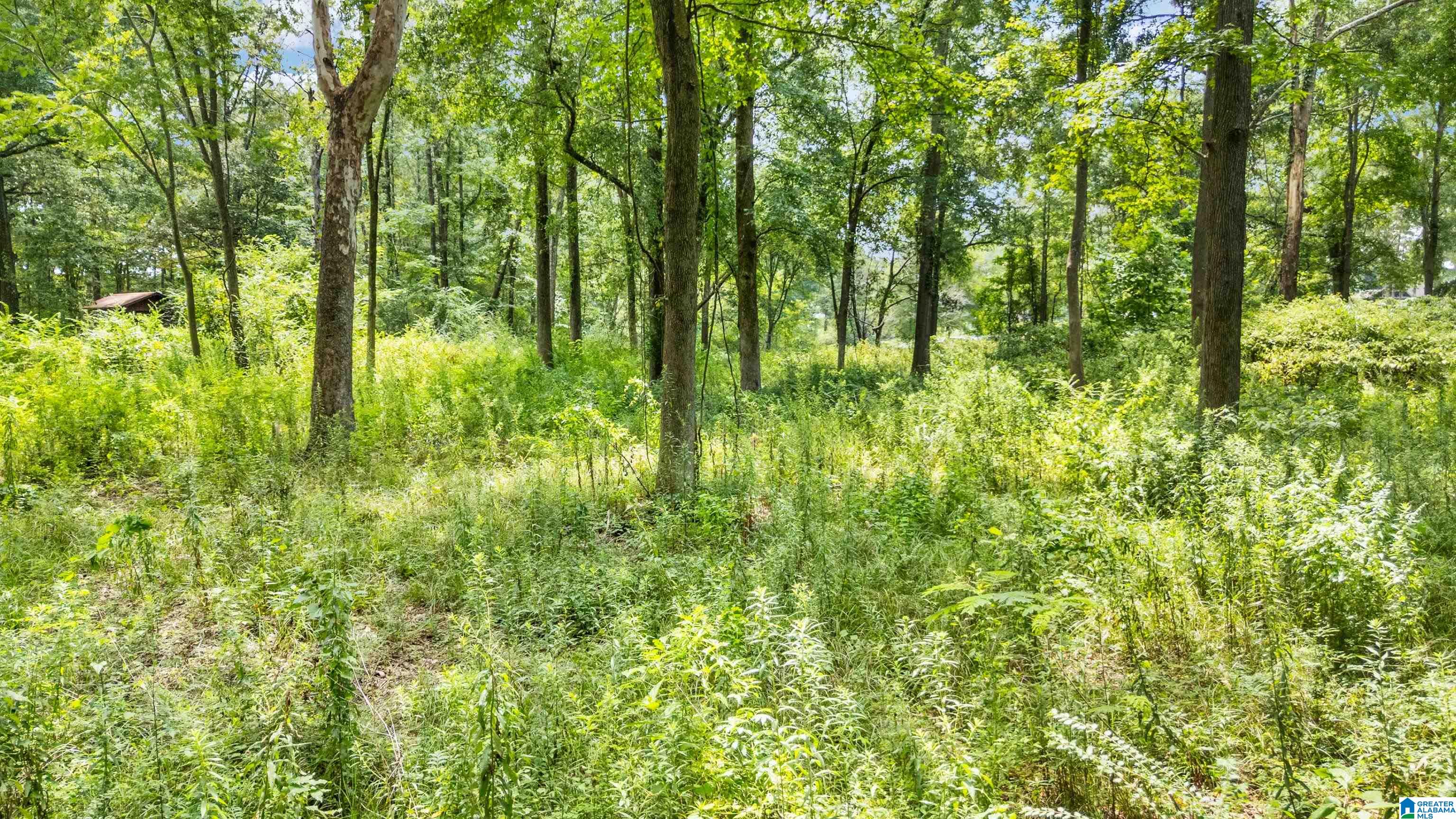 Homes for sale in Wilsonville, AL | Lot 7 Hebb Road, Wilsonville, AL 35186 | MLS# 21427227