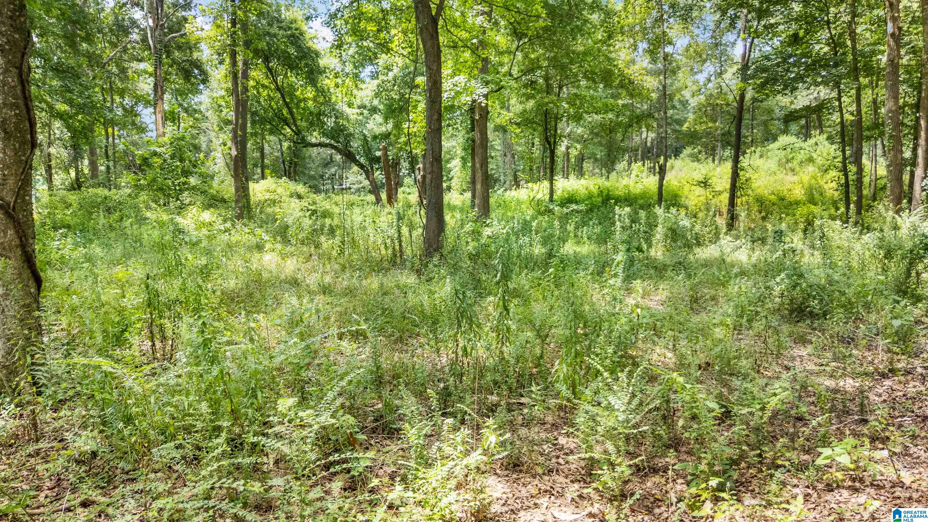 Homes for sale in Wilsonville, AL | Lot 7 Hebb Road, Wilsonville, AL 35186 | MLS# 21427227