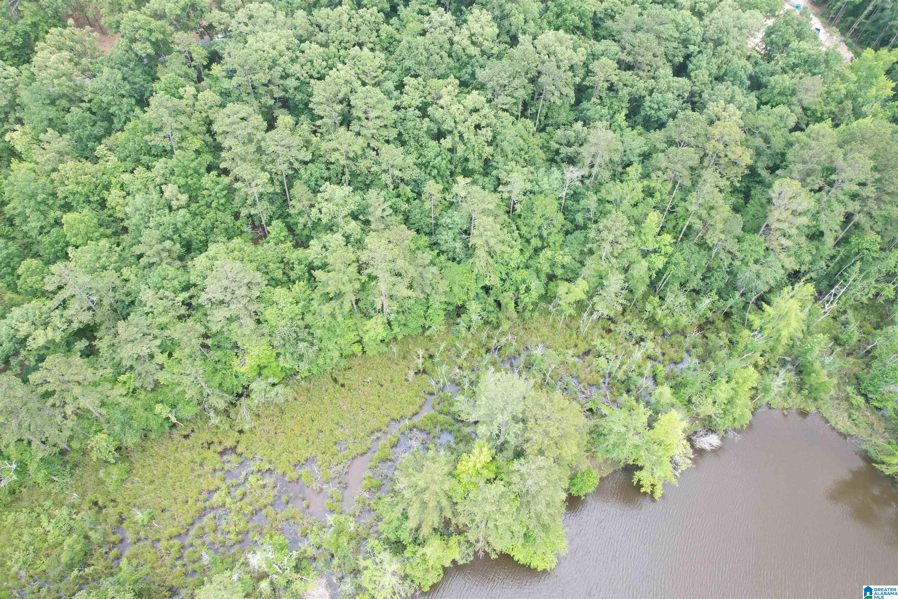 Homes for sale in Riverside, AL | 000 Haven Circle, Riverside, AL 35135 | MLS# 21427325