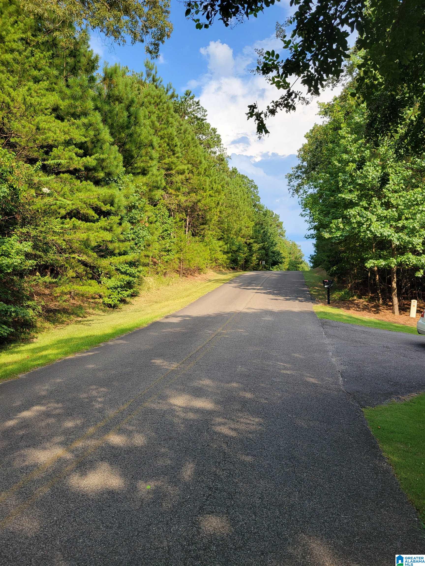 Homes for sale in Crane Hill, AL | Lot 10 County Road 2015, Crane Hill, AL 35053 | MLS# 21427488
