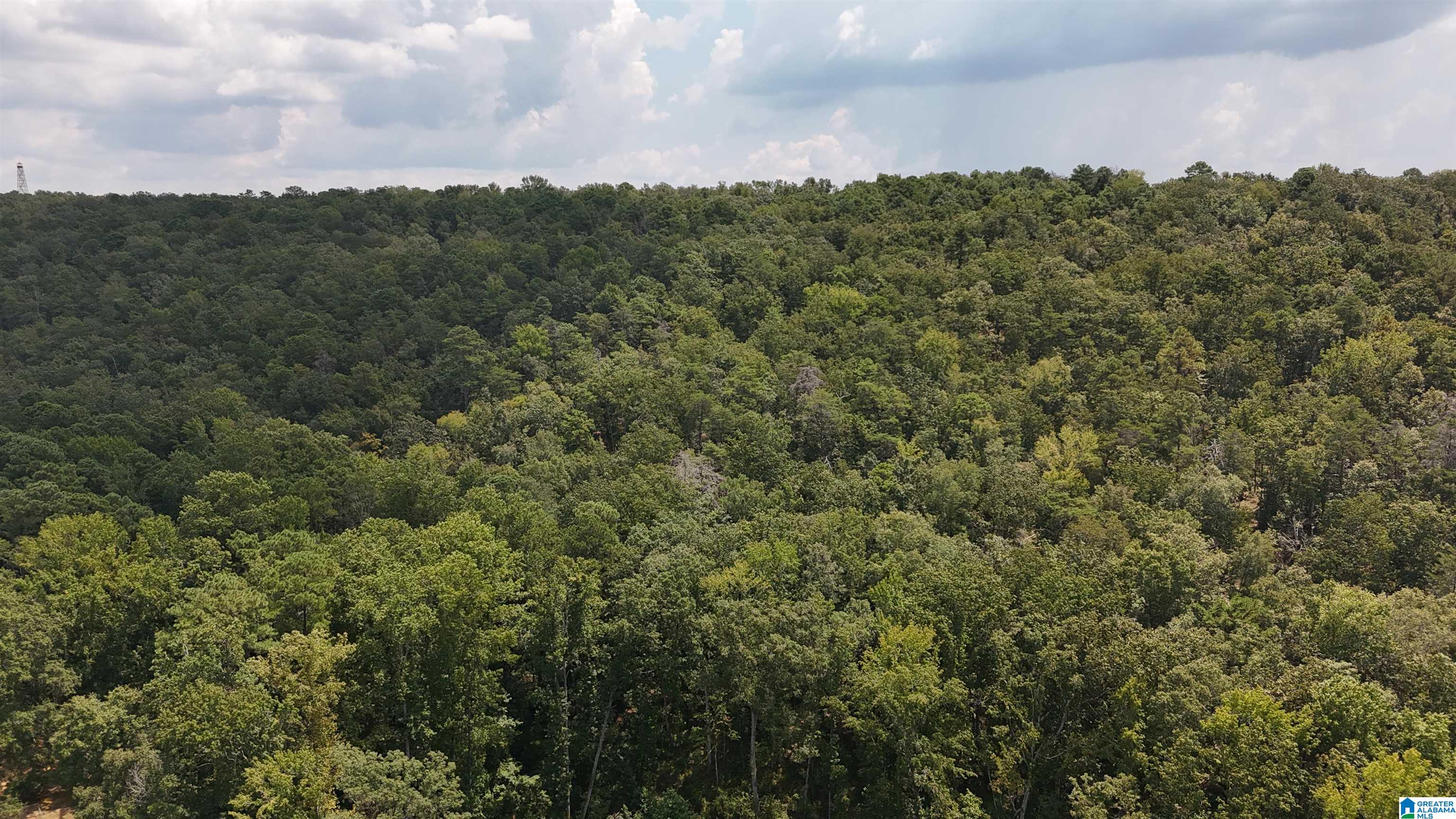 Homes for sale in Mc Calla, AL | 1700 Lakeside Dr, Mc Calla, AL 35111 | MLS# 21427557